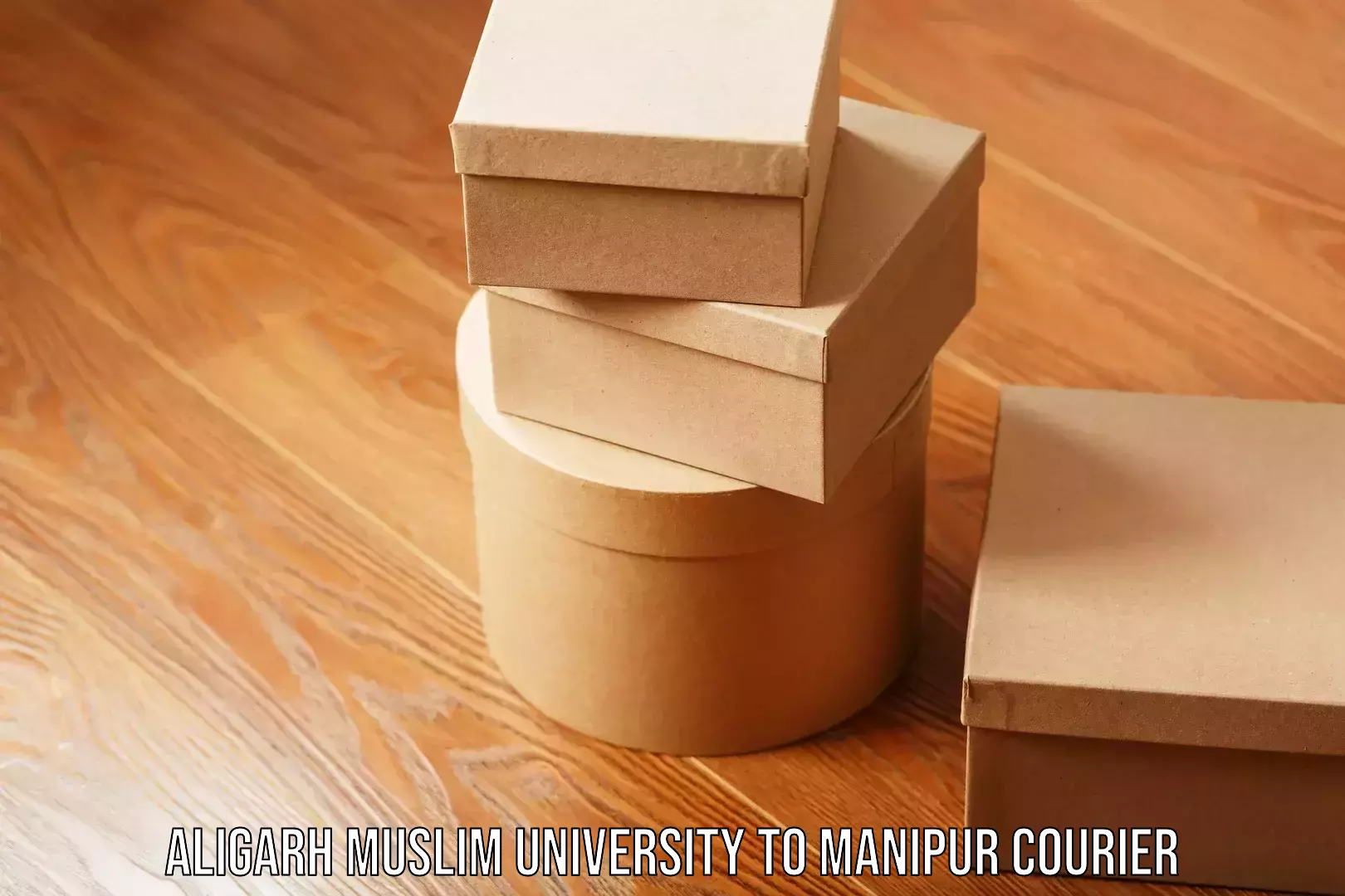 Express courier capabilities in Aligarh Muslim University to Thoubal