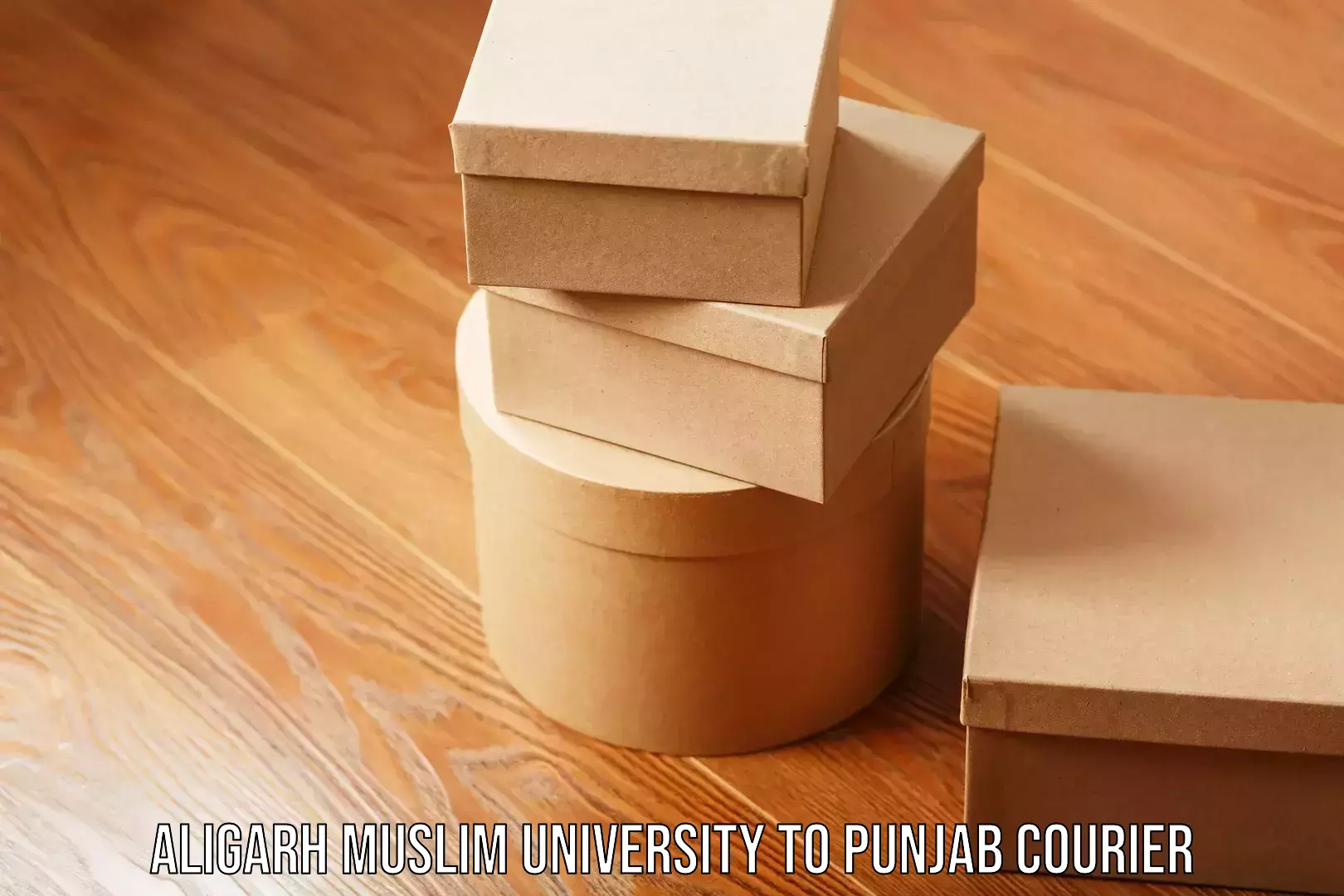 Online courier booking Aligarh Muslim University to Punjab