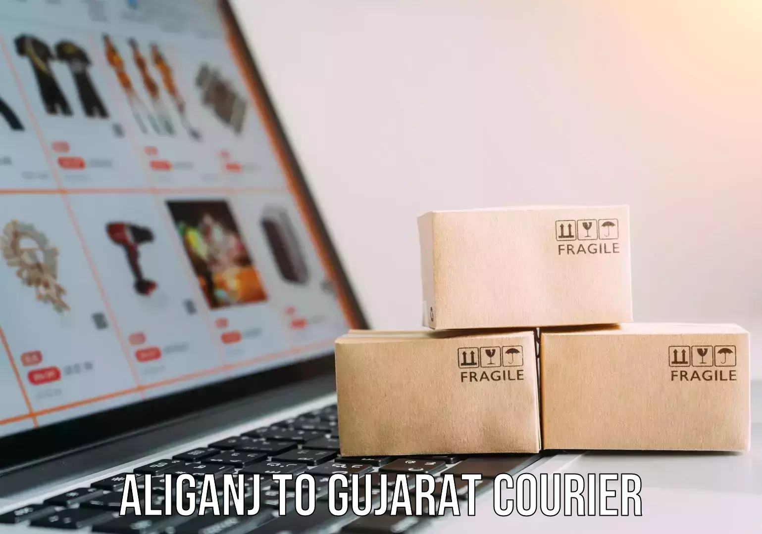 Residential courier service Aliganj to Gujarat