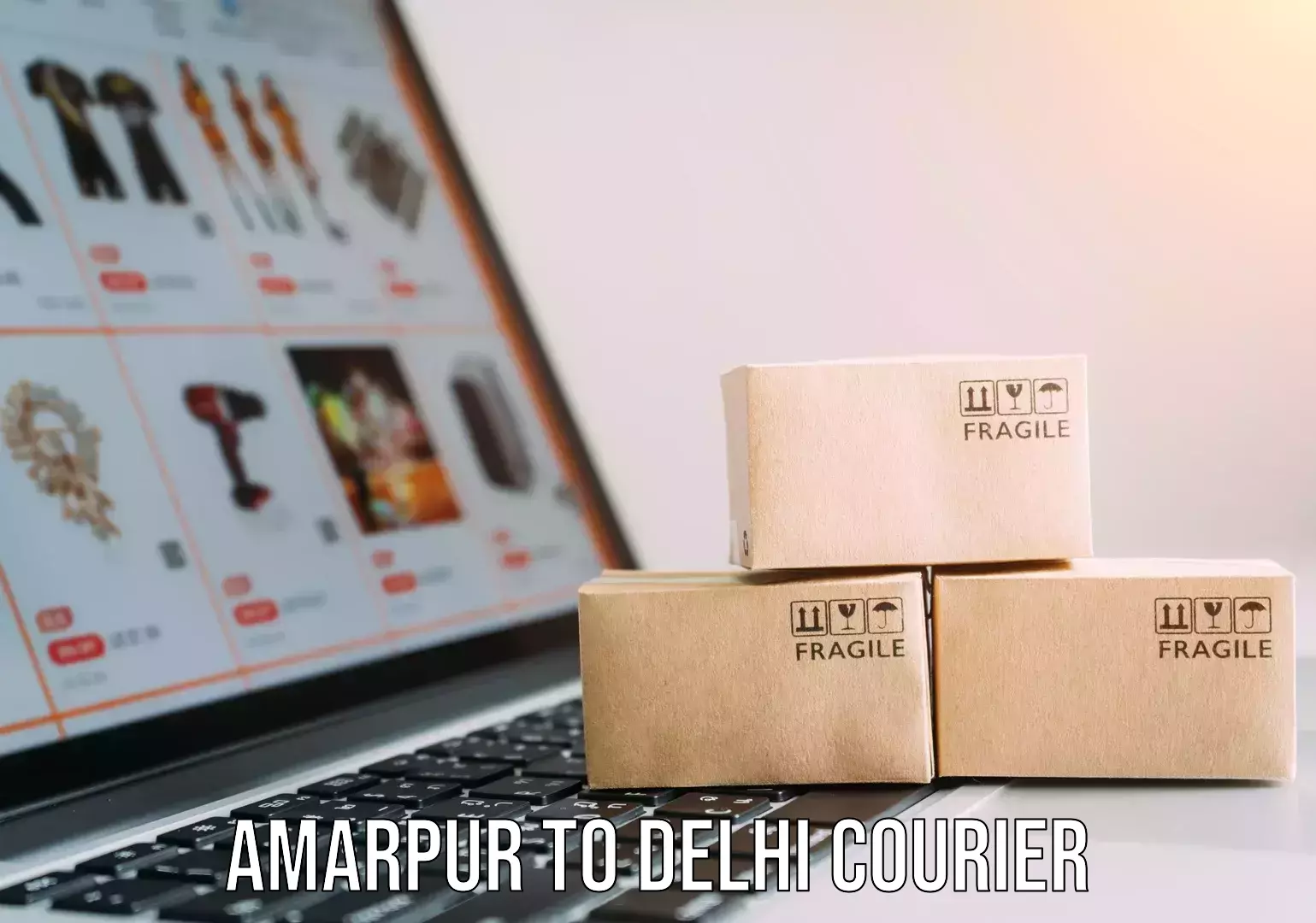 Tailored shipping plans Amarpur to Delhi