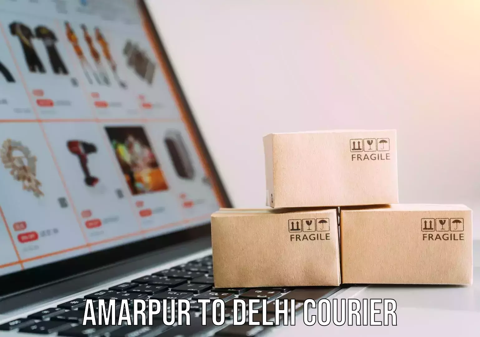 Holiday shipping services Amarpur to NIT Delhi