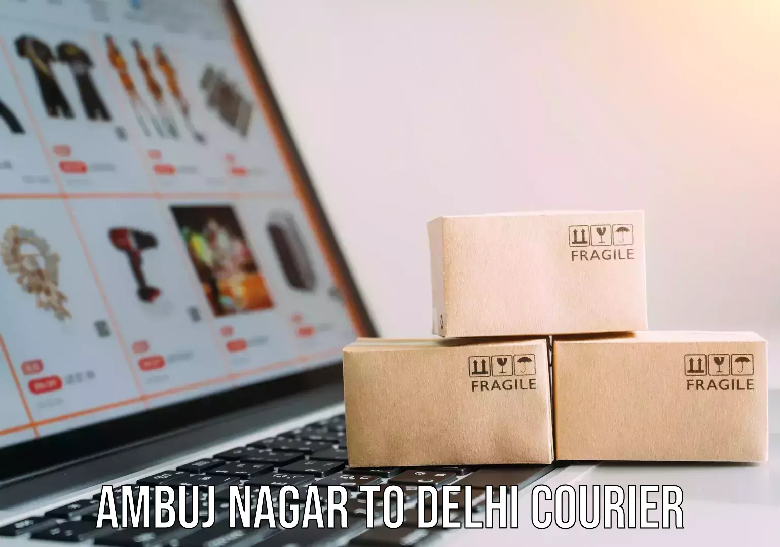24/7 courier service Ambuj Nagar to Delhi