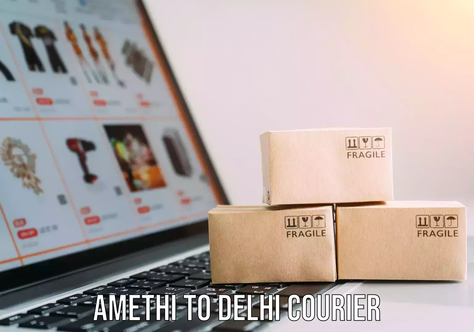 Professional courier handling Amethi to Delhi