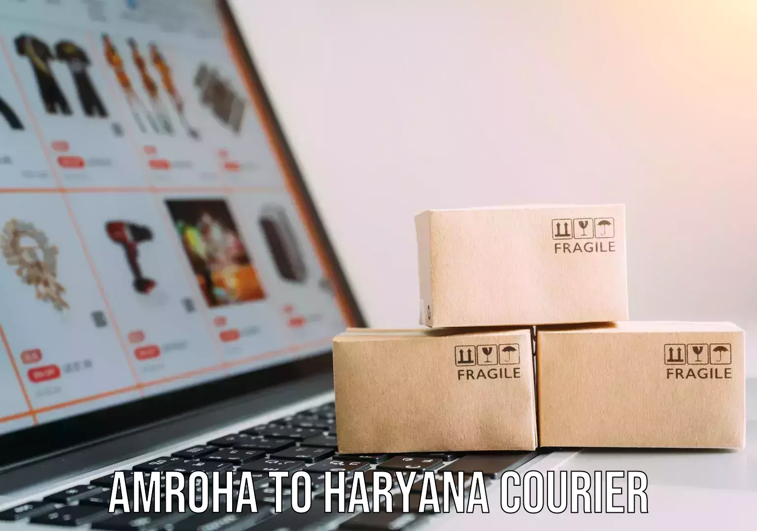 Next-generation courier services Amroha to Haryana