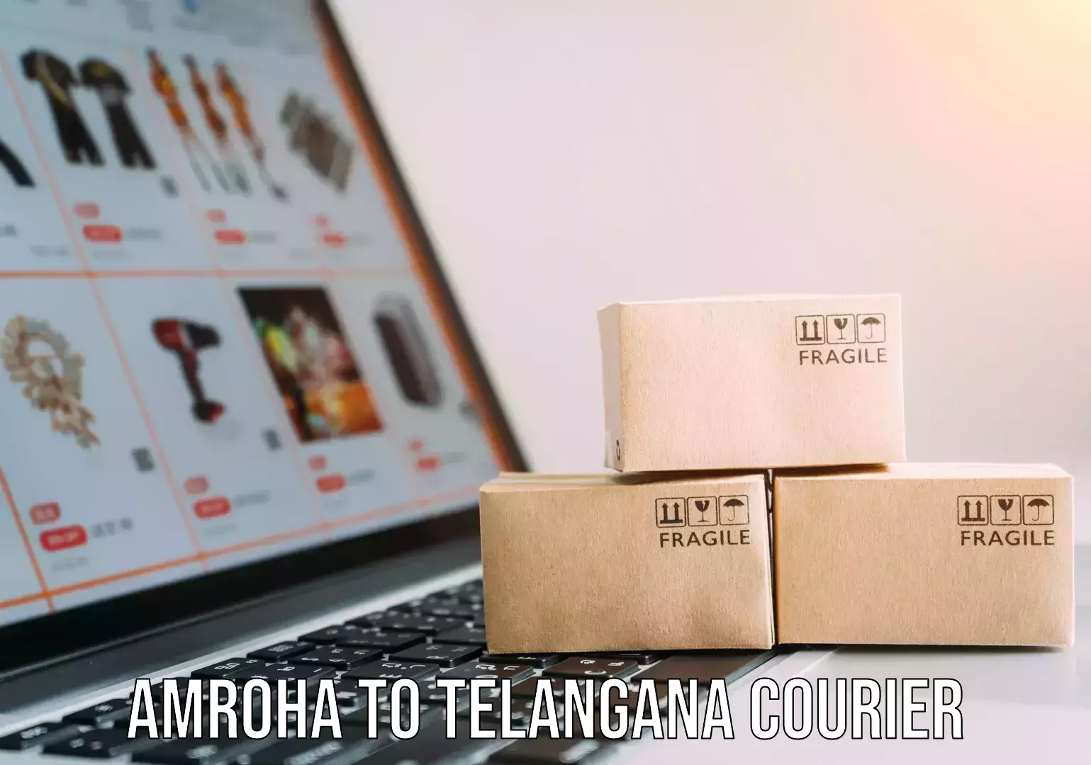 Efficient cargo services Amroha to Telangana