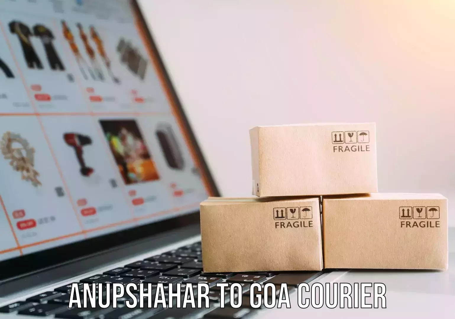 Smart parcel tracking in Anupshahar to Vasco da Gama