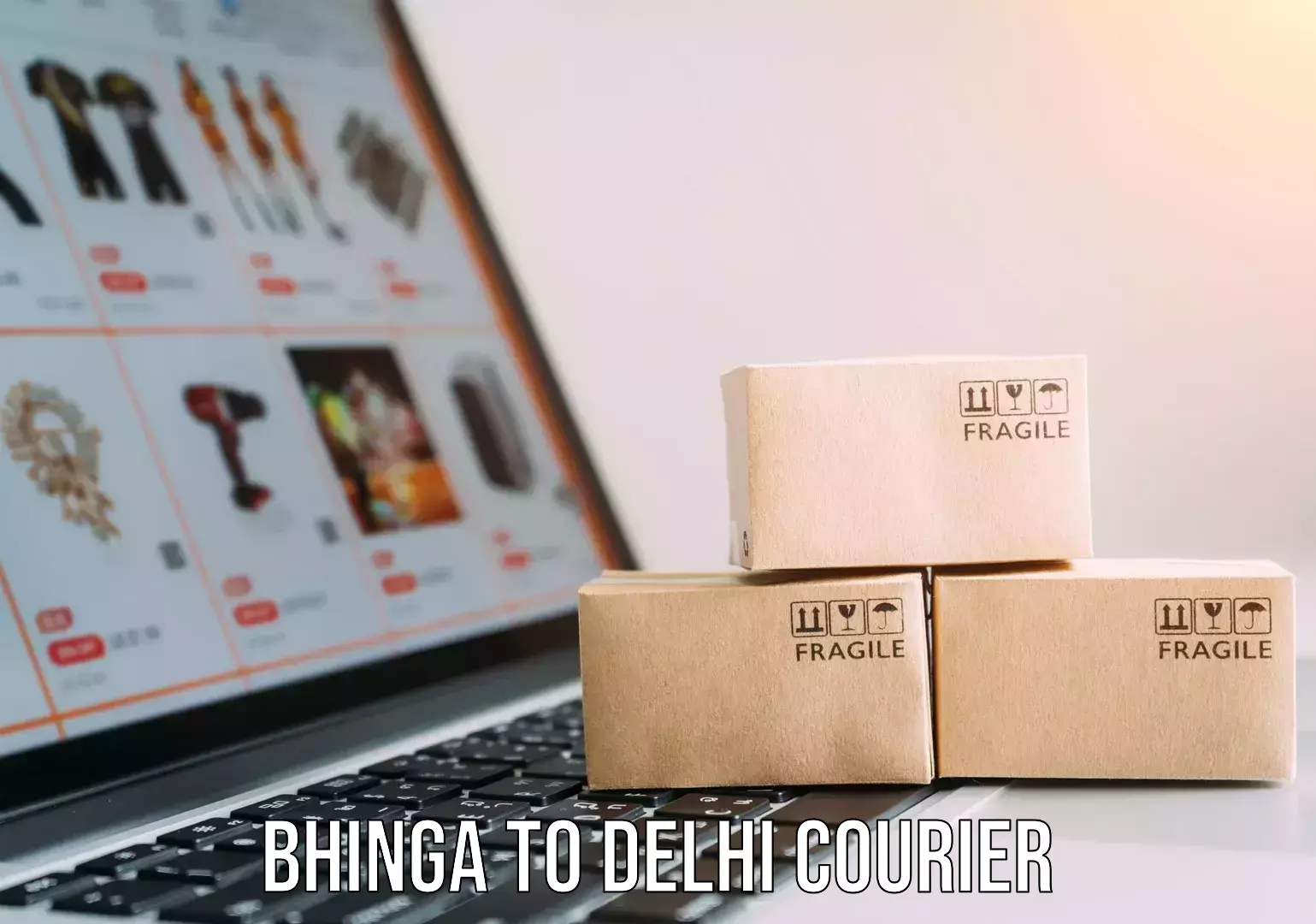 Courier service comparison Bhinga to Delhi