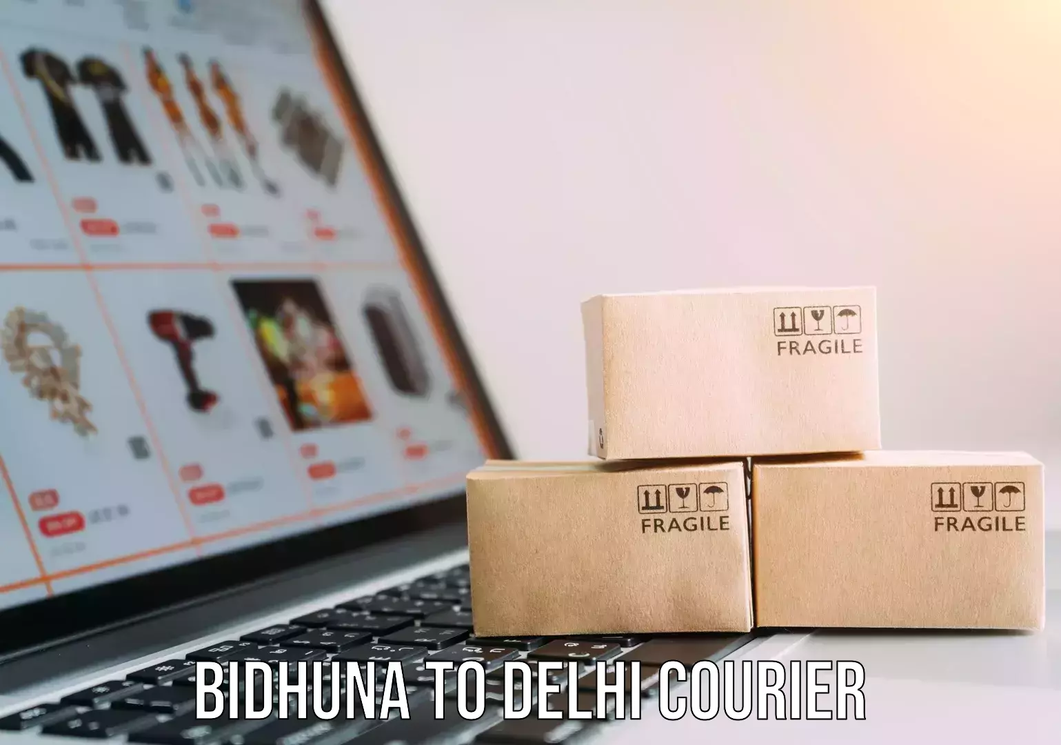 International courier networks Bidhuna to Delhi