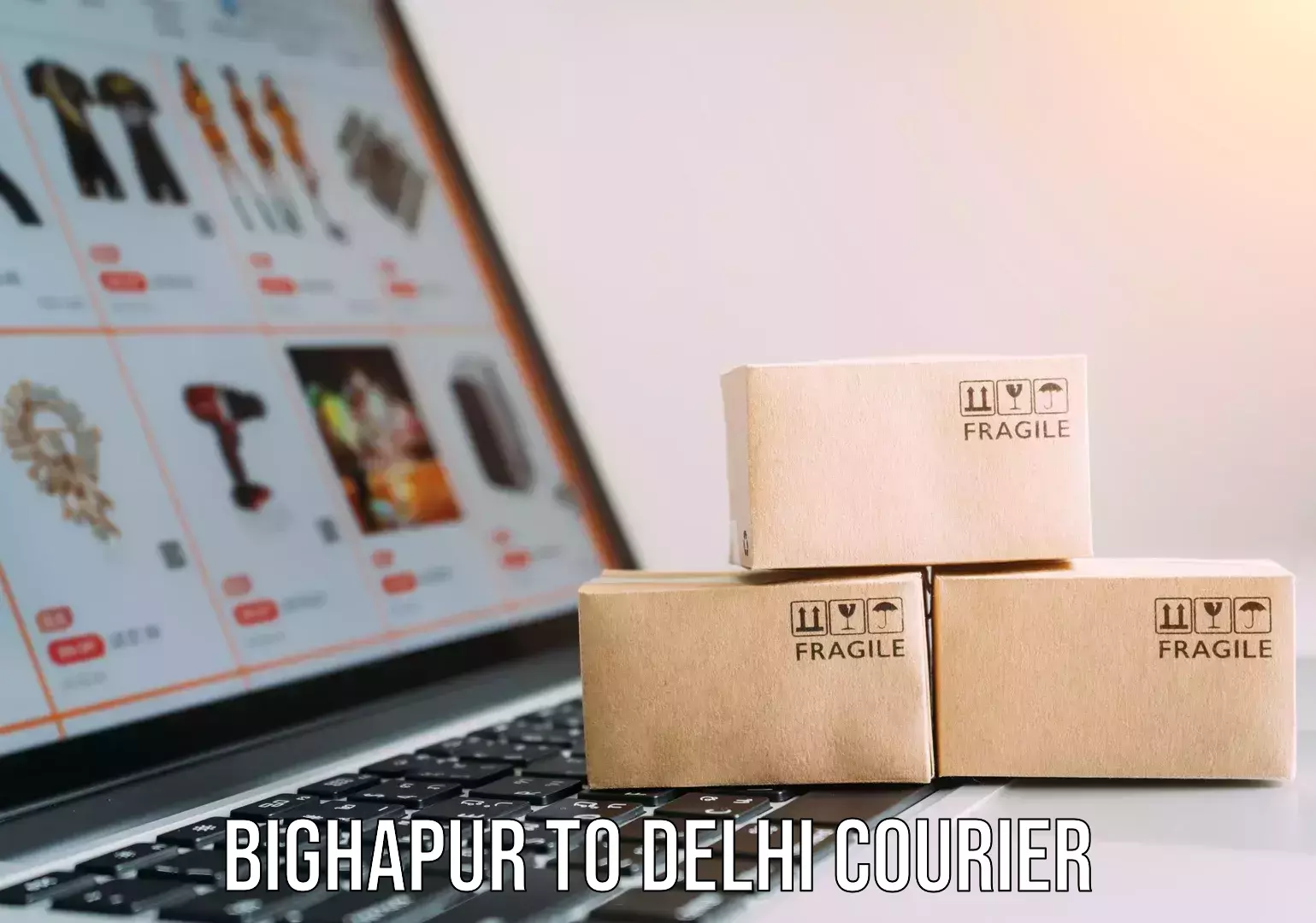 Postal and courier services Bighapur to Delhi