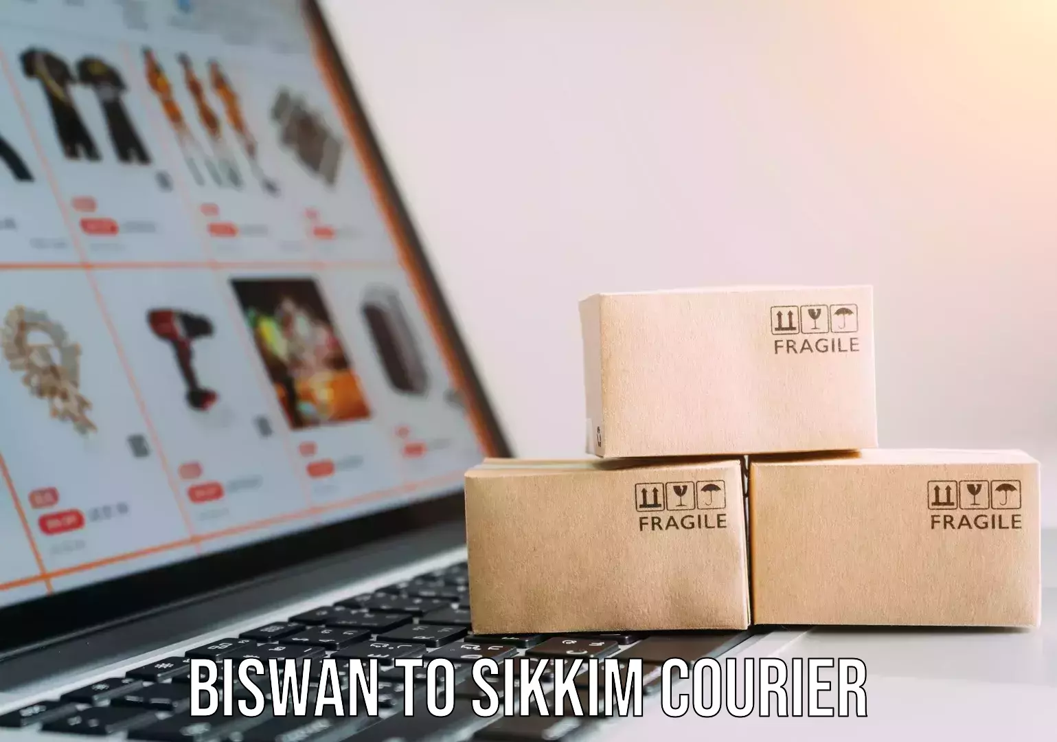 State-of-the-art courier technology Biswan to Sikkim