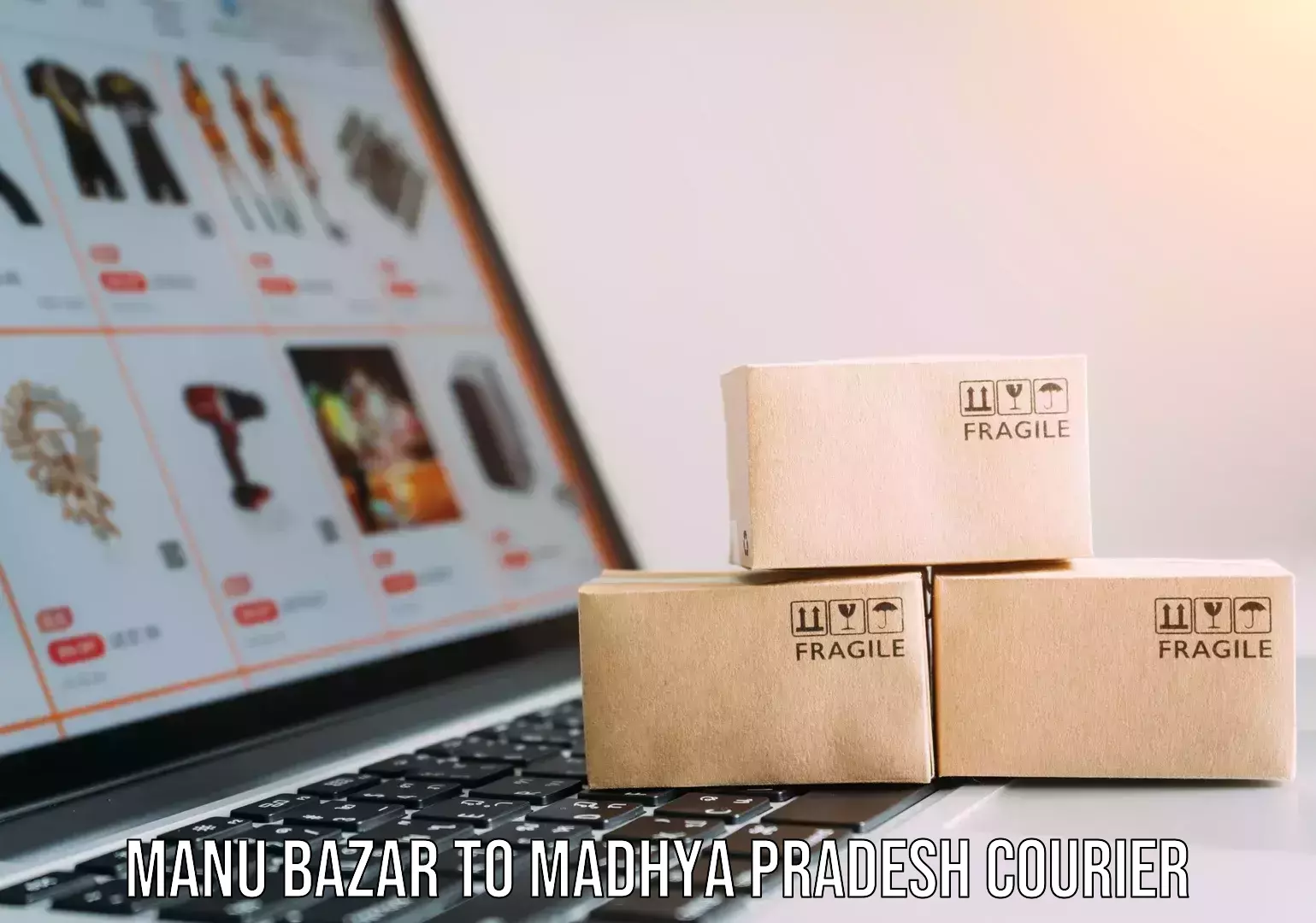 Global delivery options Manu Bazar to Madhya Pradesh