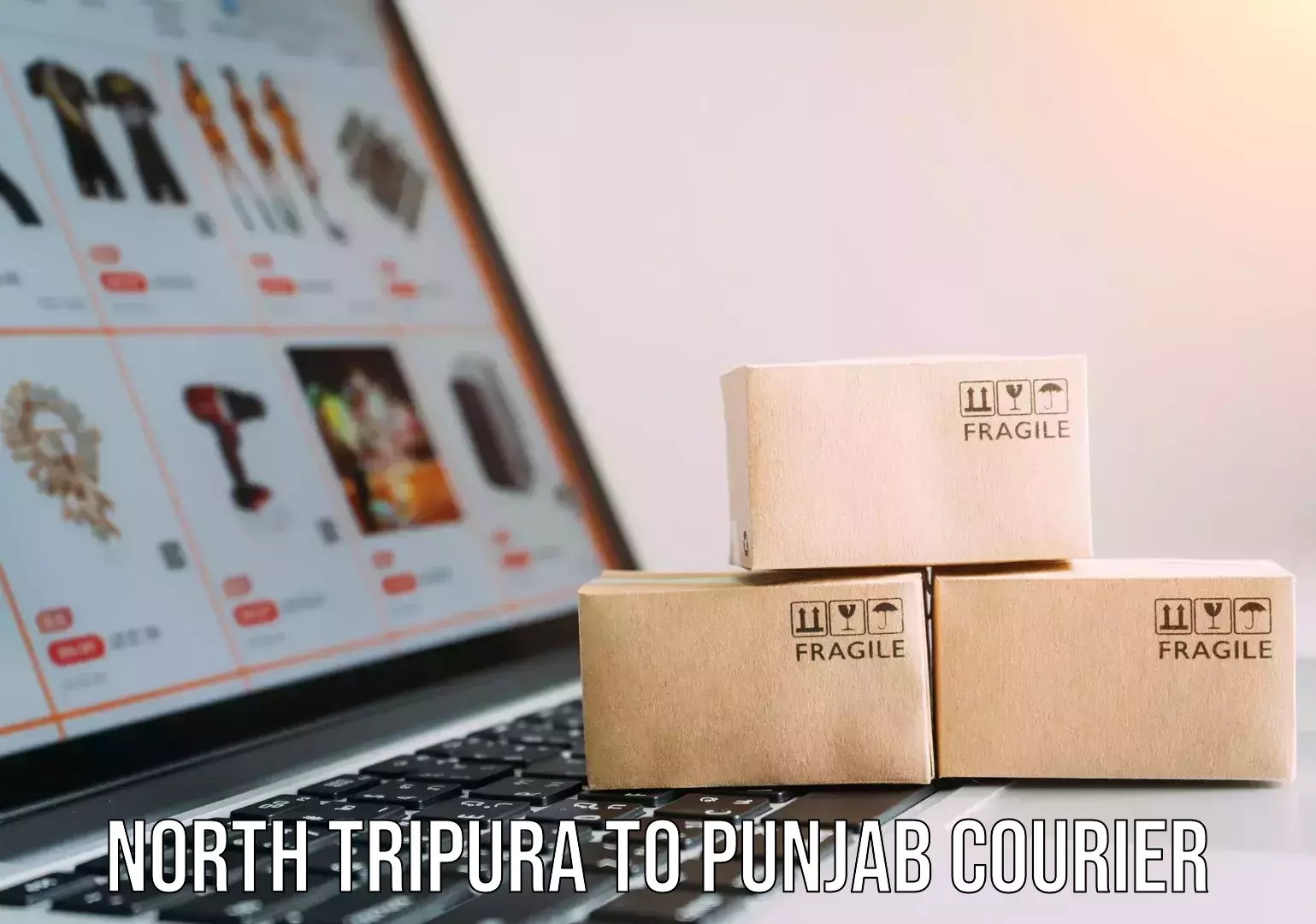 24-hour courier services North Tripura to Punjab