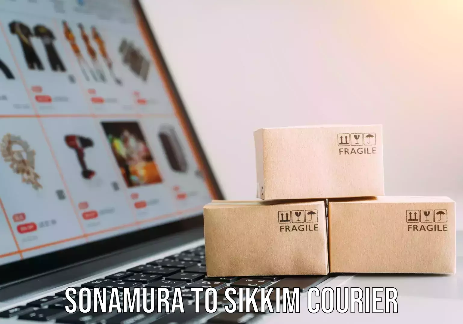 Door-to-door shipment Sonamura to Sikkim