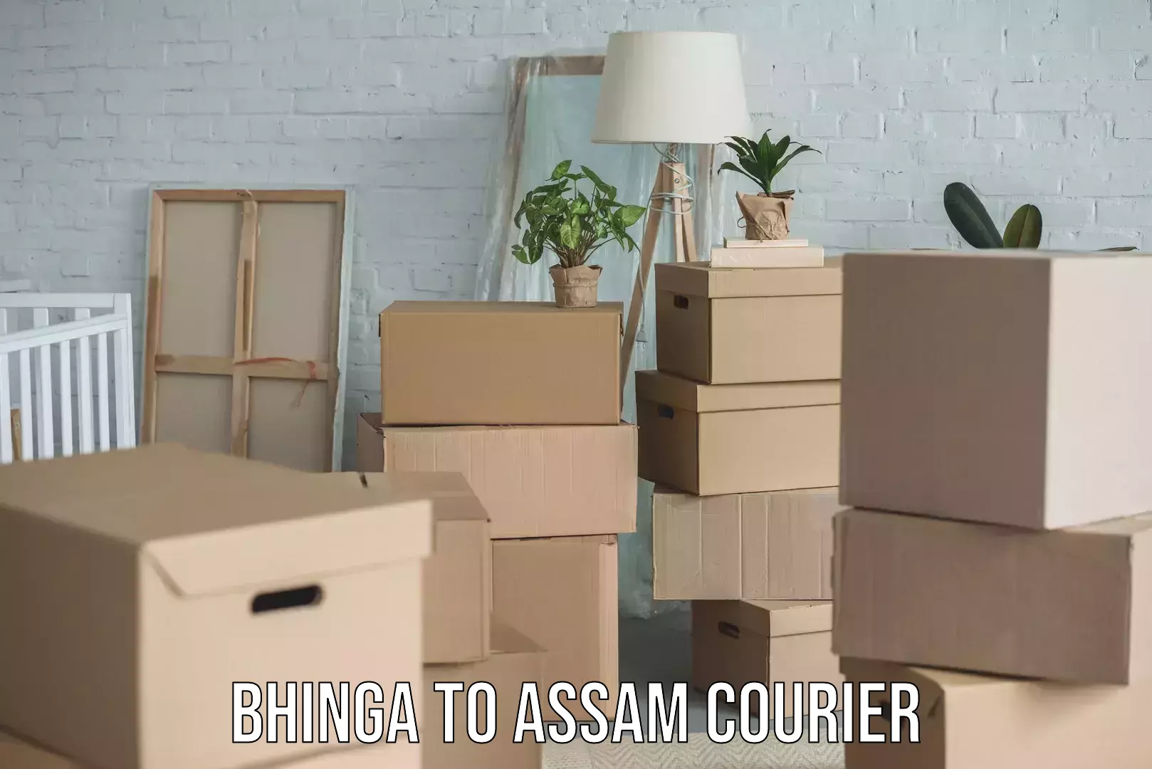 Parcel delivery automation Bhinga to Assam