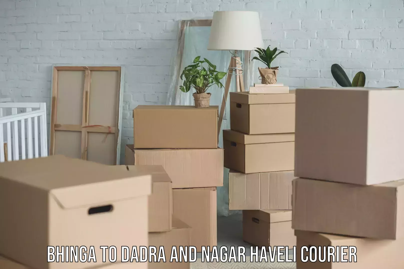 Lightweight parcel options Bhinga to Dadra and Nagar Haveli