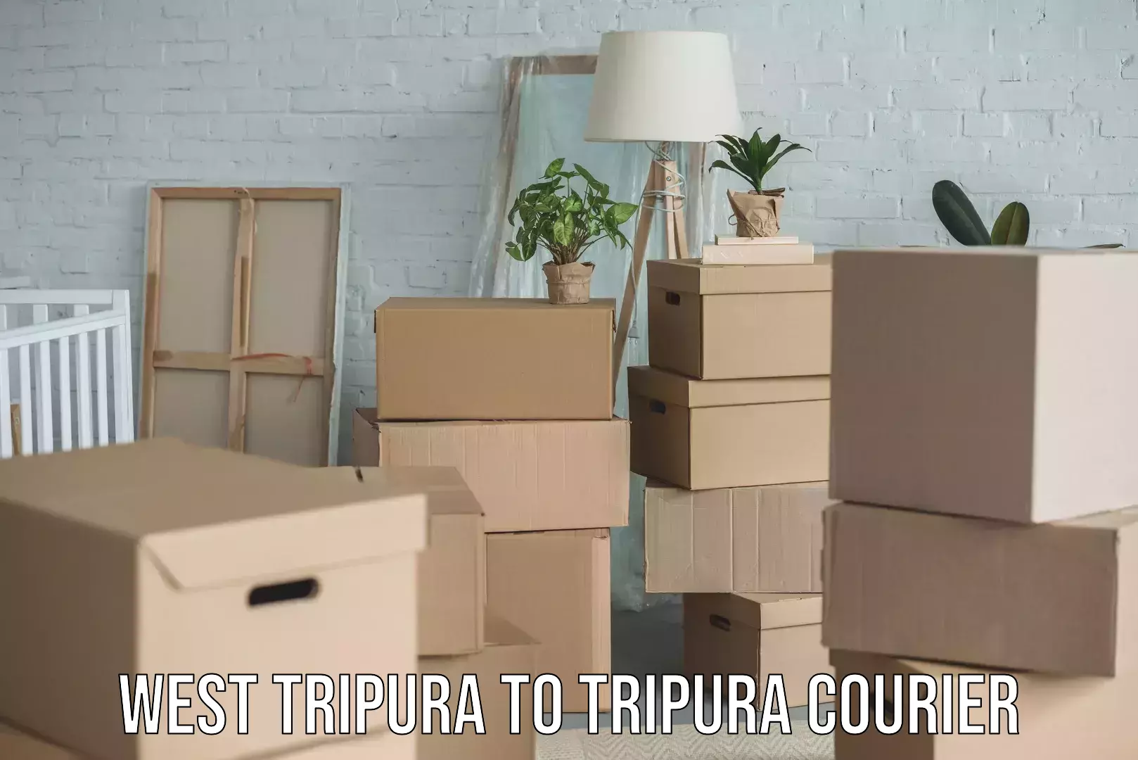 Customized delivery options West Tripura to Tripura