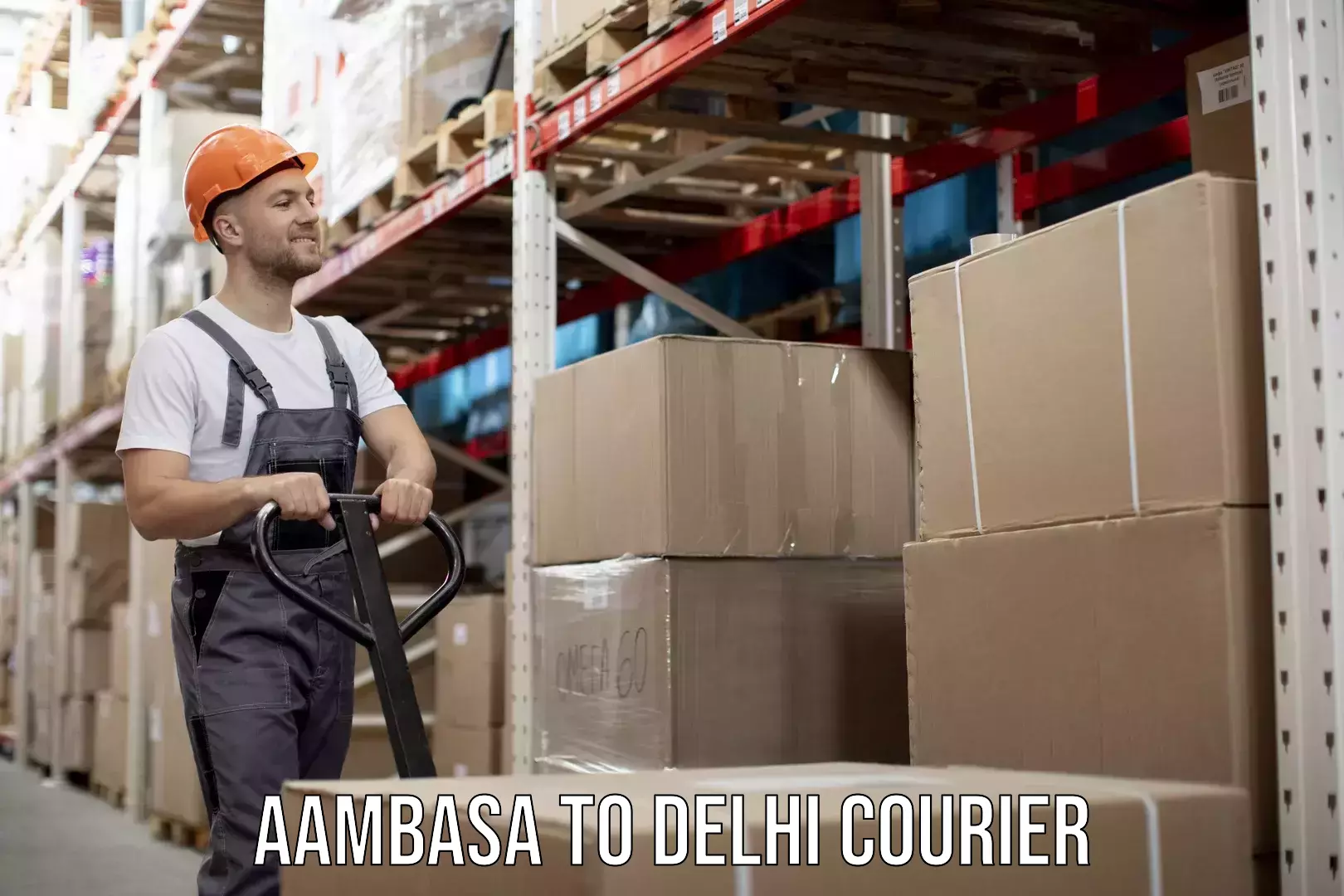 On-demand courier Aambasa to Delhi