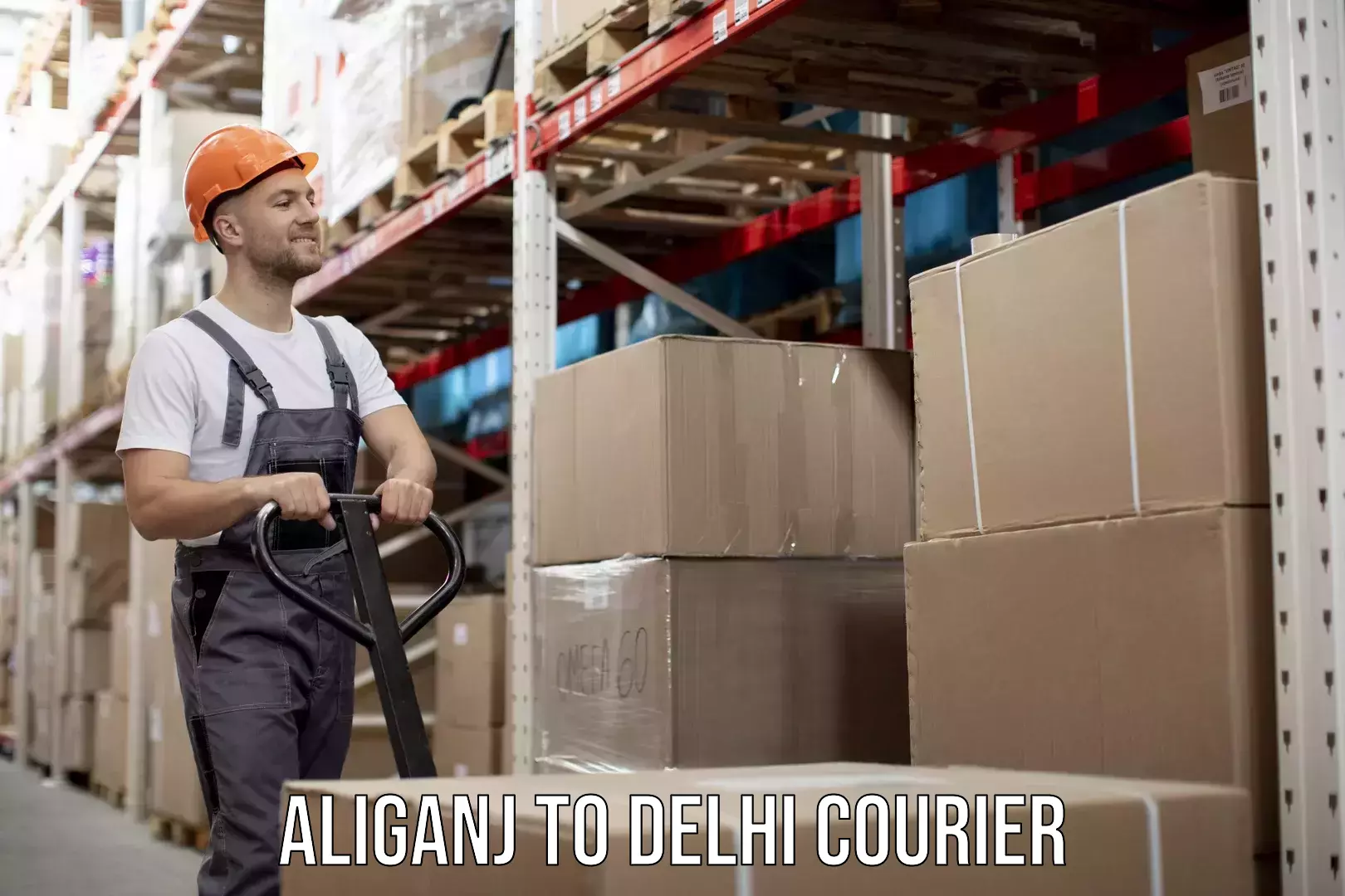 Express package handling Aliganj to East Delhi