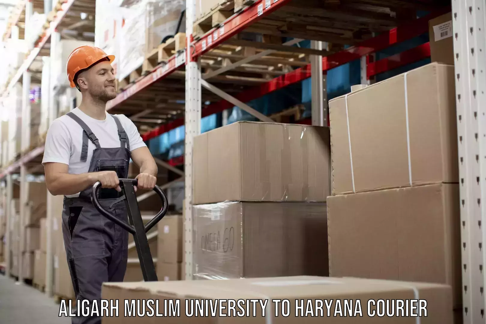 Multi-carrier shipping Aligarh Muslim University to Haryana