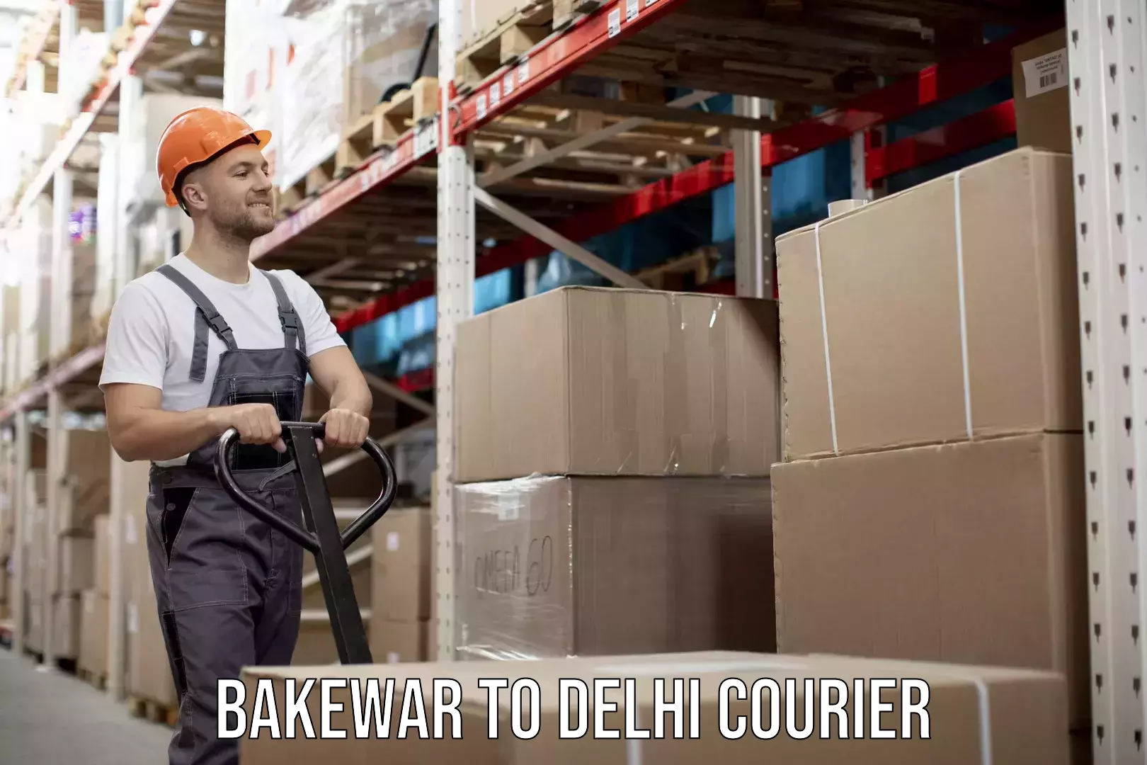 Expedited parcel delivery Bakewar to Delhi