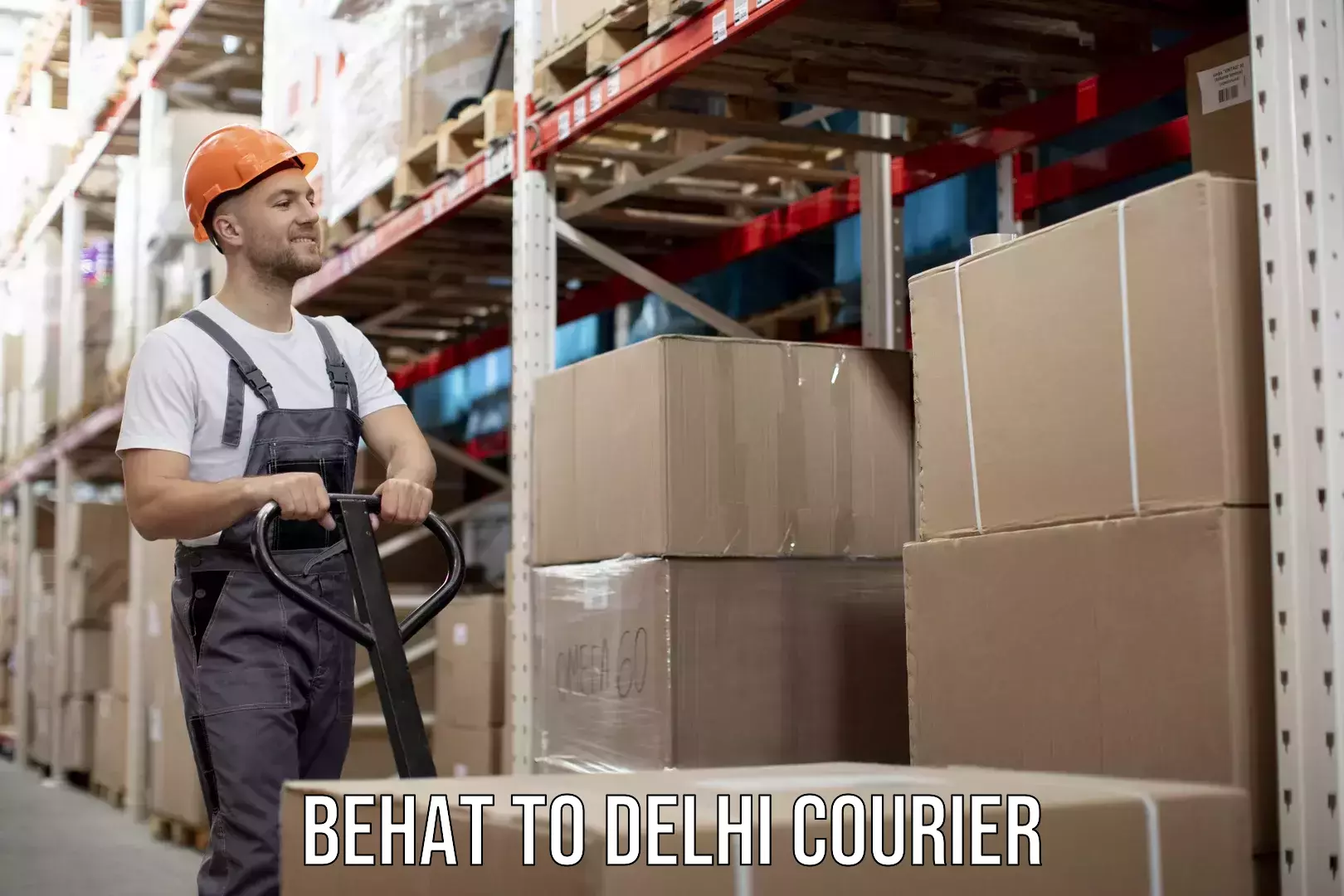 Round-the-clock parcel delivery Behat to Ashok Vihar