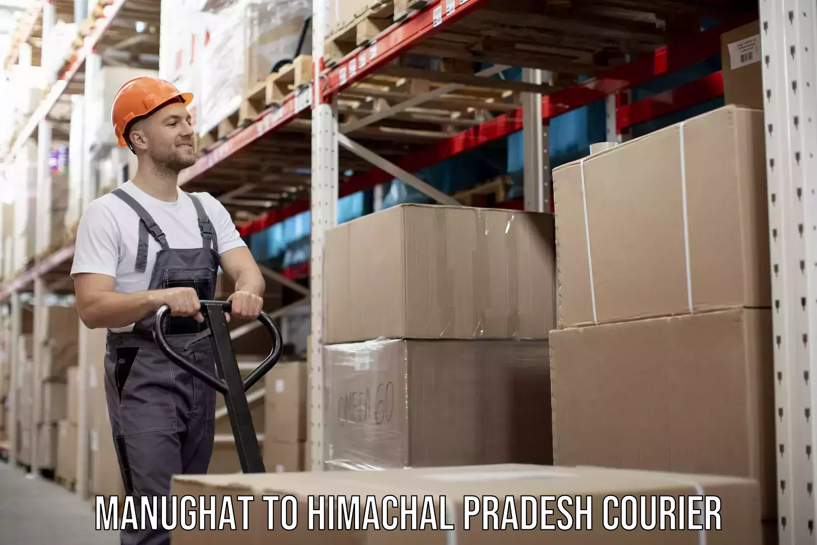Custom courier packages in Manughat to Himachal Pradesh