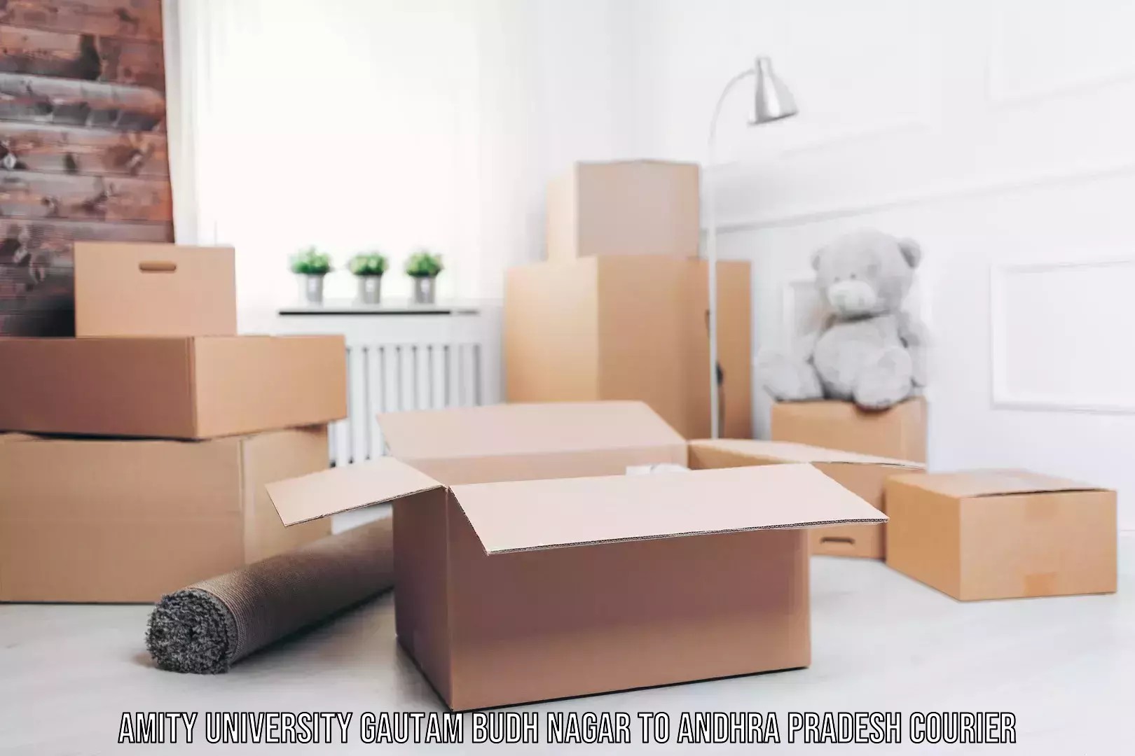 Large package courier Amity University Gautam Budh Nagar to Mulakalacheruvu