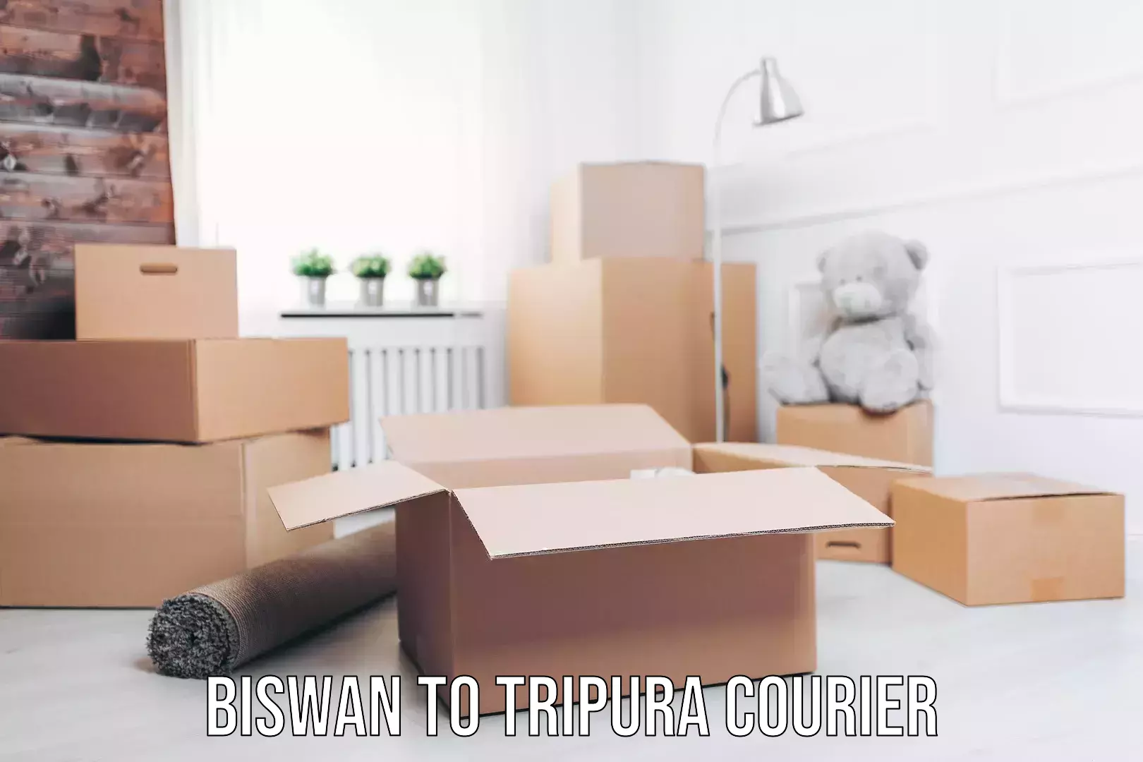 Custom courier packaging Biswan to West Tripura