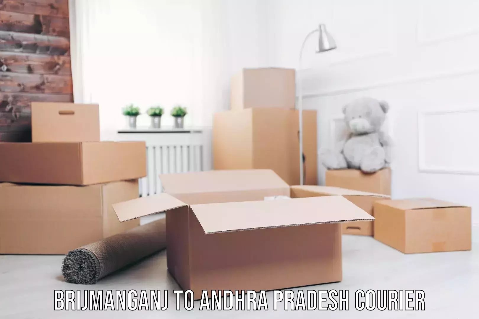 Flexible shipping options Brijmanganj to Andhra Pradesh