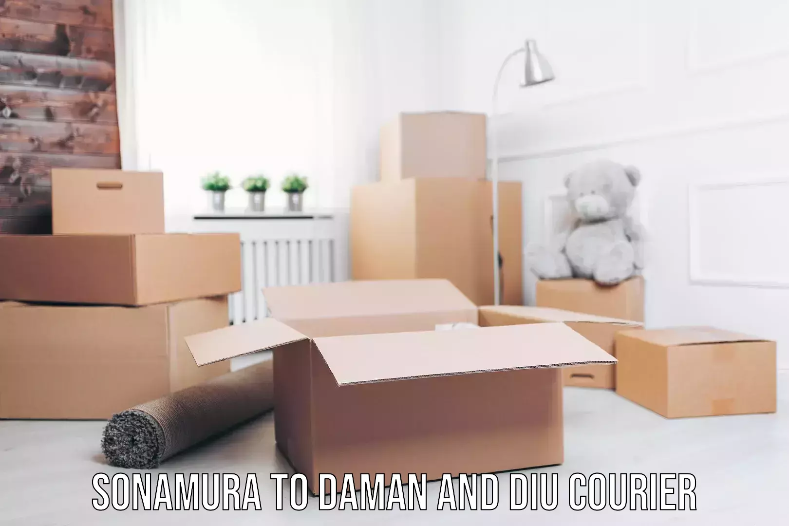 Easy return solutions Sonamura to Daman and Diu