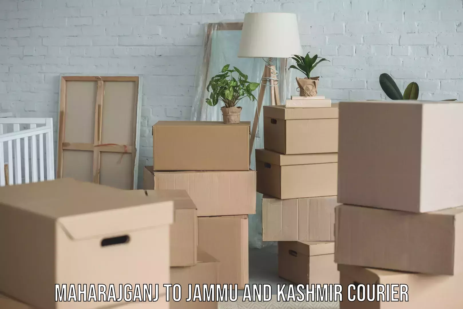 Household goods movers and packers Maharajganj to Jammu and Kashmir