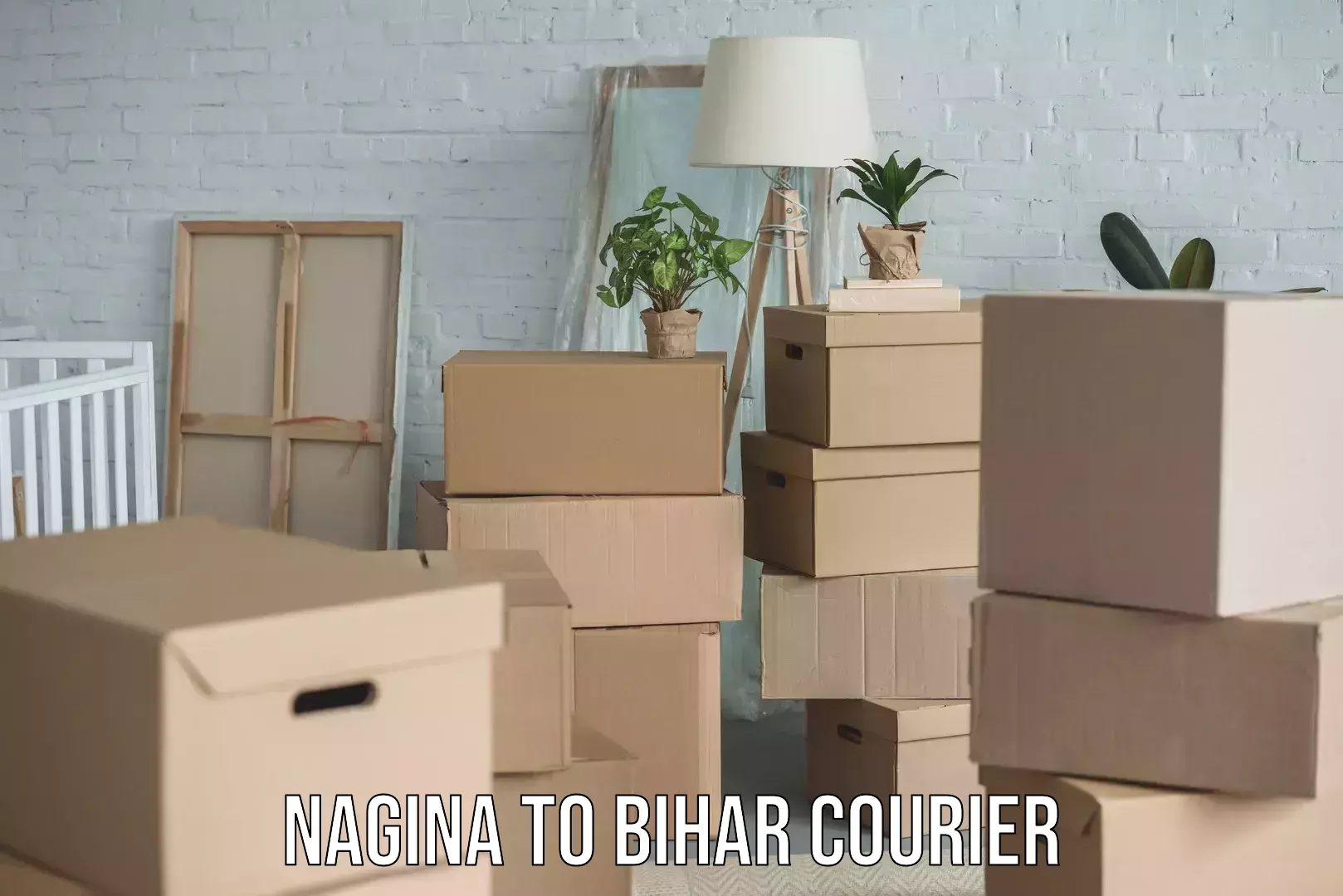 Trusted moving solutions Nagina to Deo Aurangabad