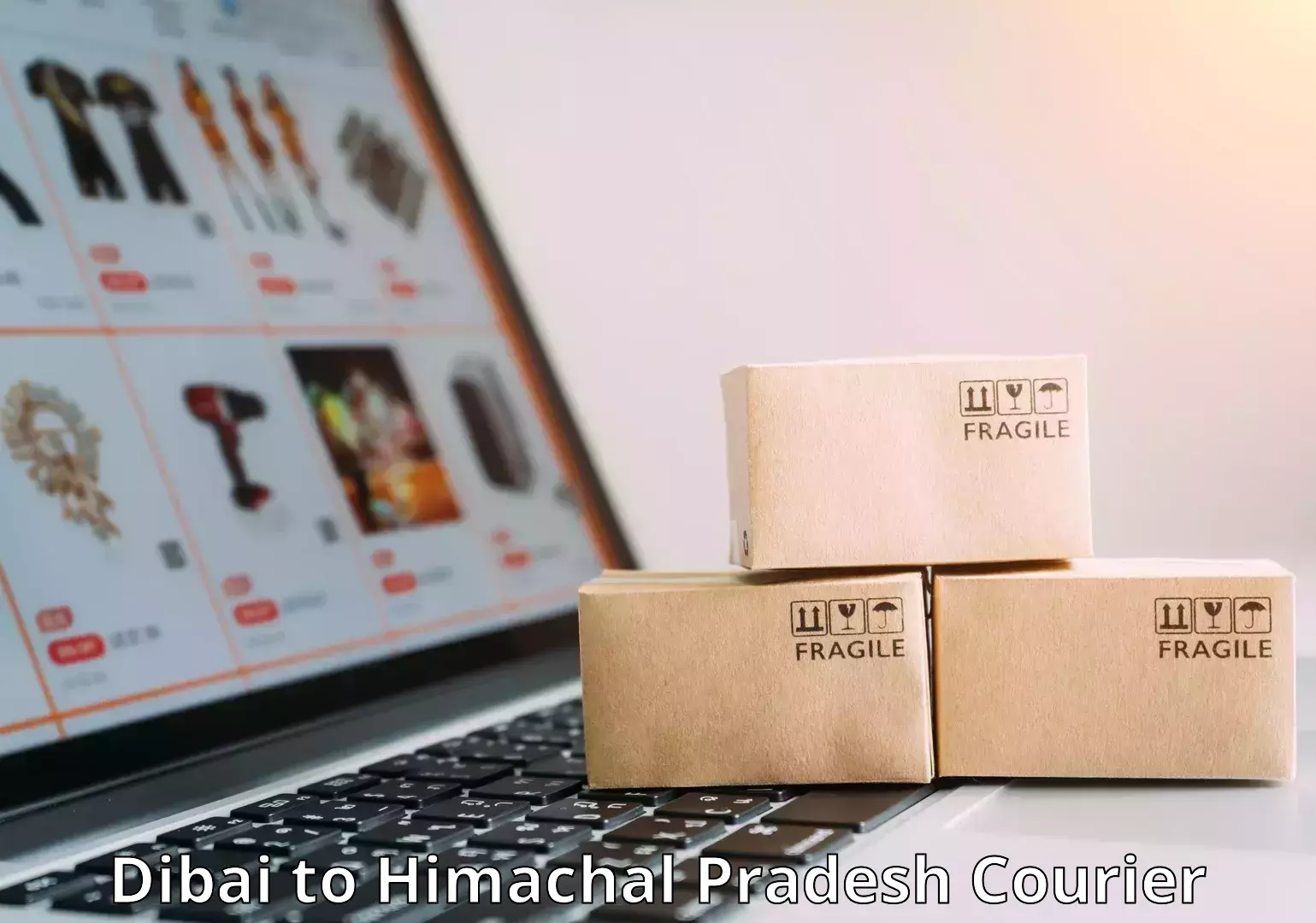 Digital baggage courier Dibai to Dharamshala