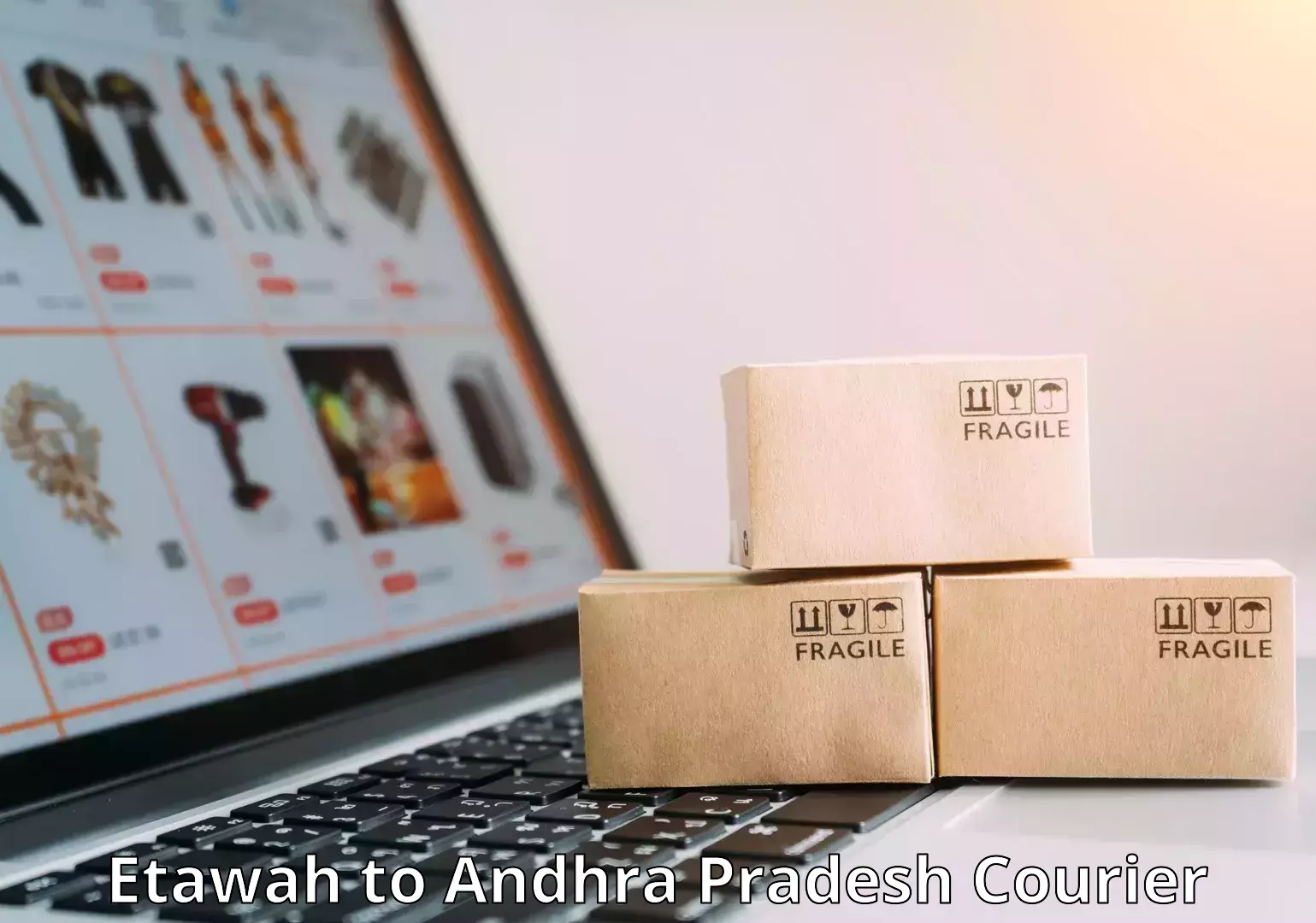 Luggage shipping options Etawah to Andhra Pradesh