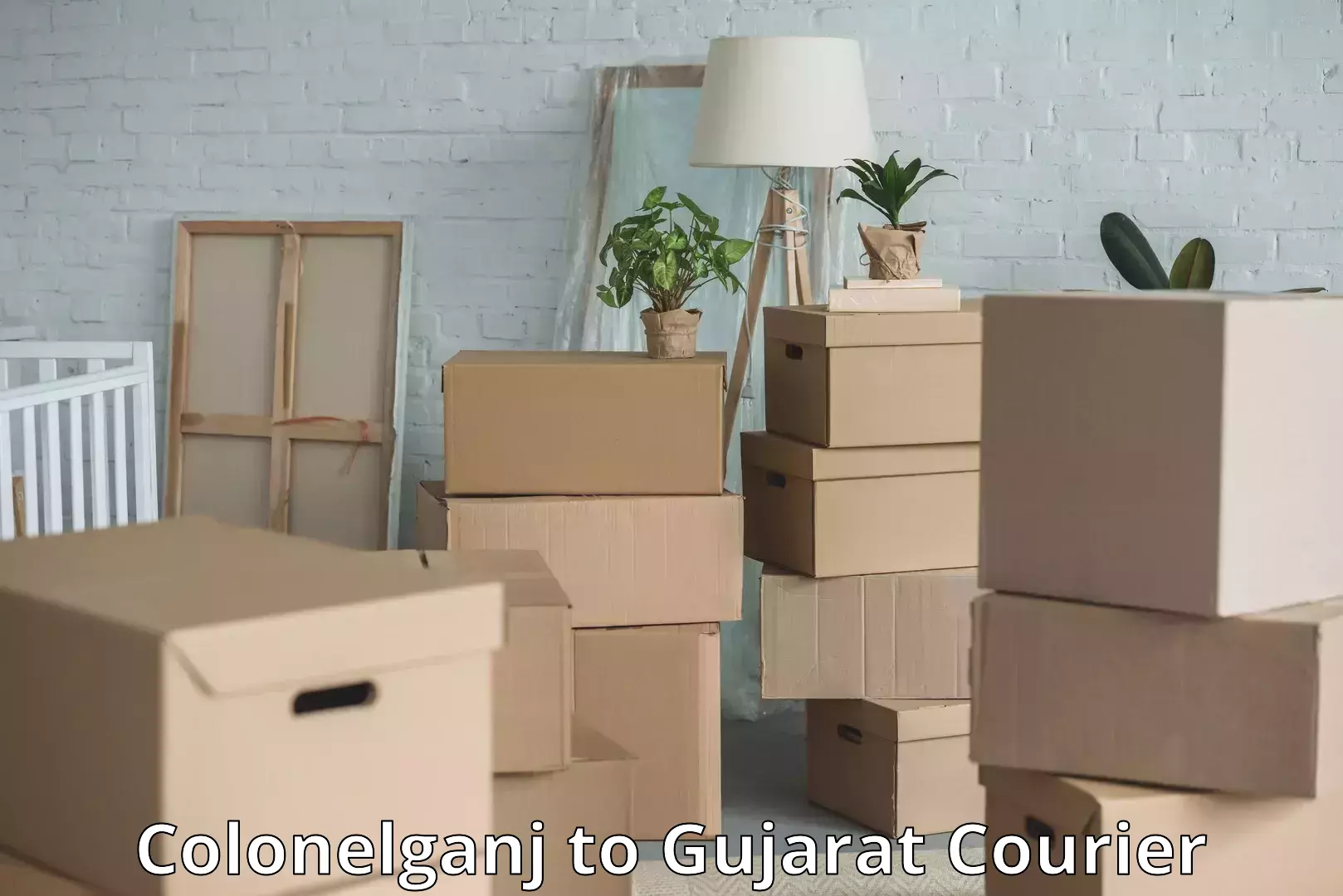 Door-to-door baggage service Colonelganj to Gujarat