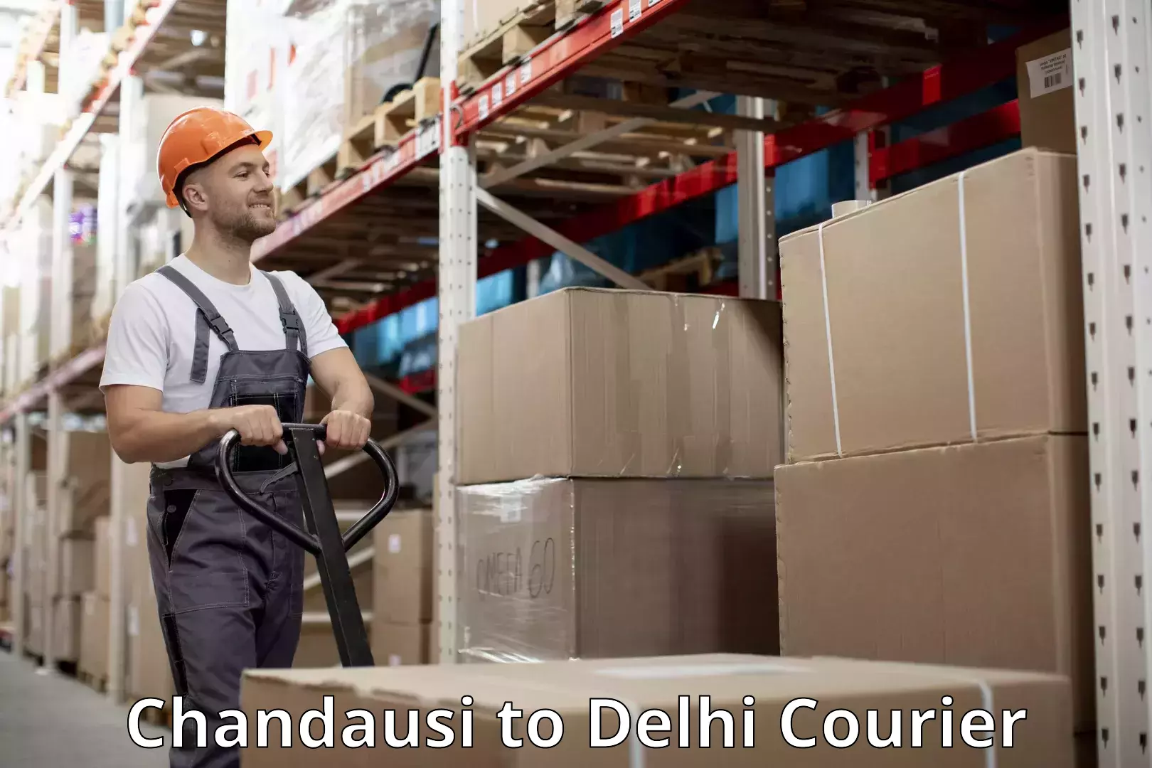 Baggage shipping schedule Chandausi to Delhi