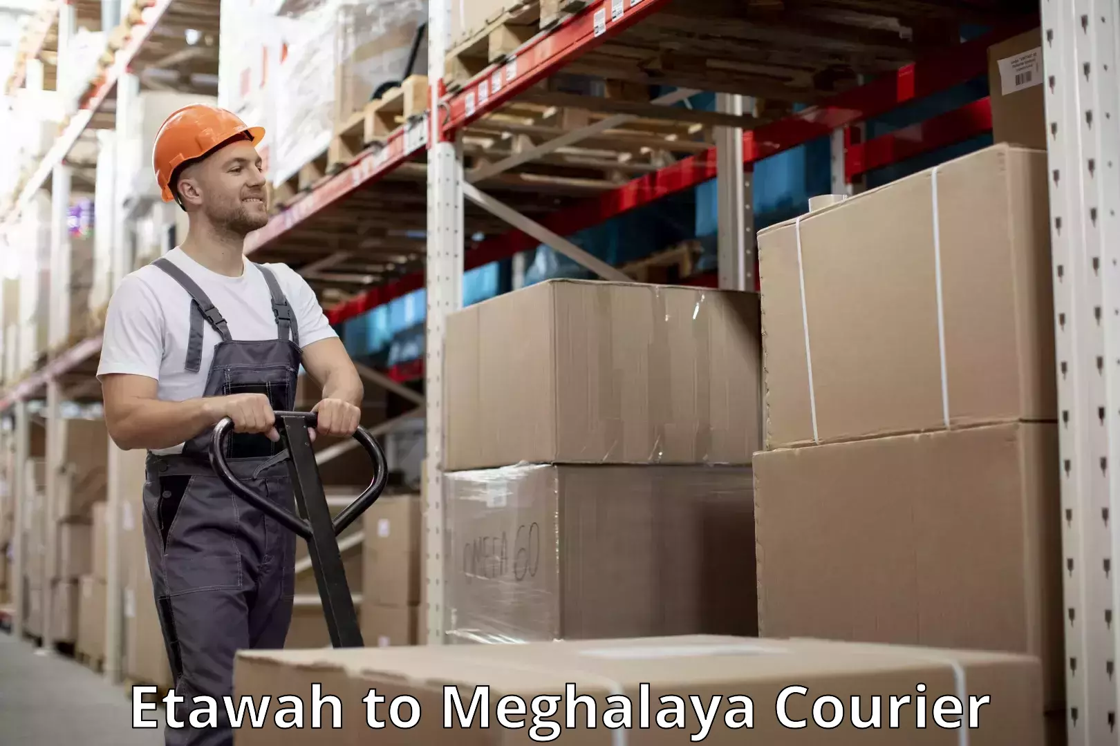 Luggage dispatch service Etawah to Meghalaya