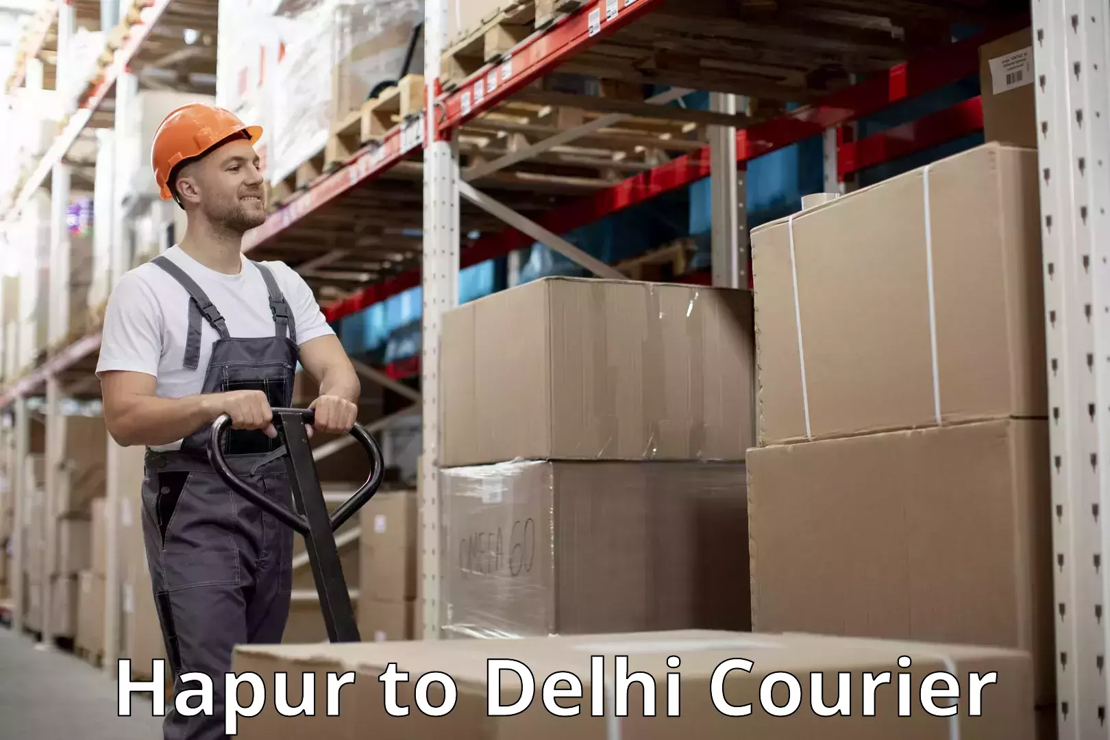 Baggage courier rates calculator Hapur to Guru Gobind Singh Indraprastha University New Delhi