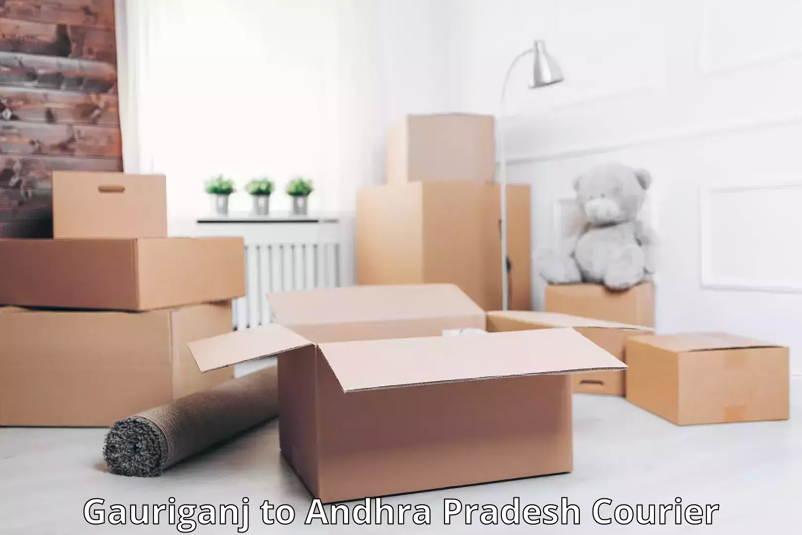 Luggage delivery app Gauriganj to Andhra Pradesh