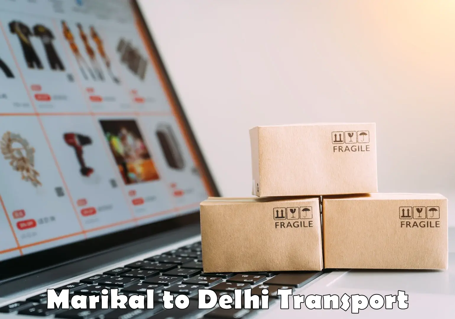 Transport in sharing Marikal to Delhi