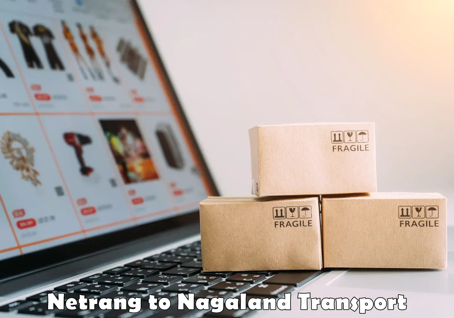 Air freight transport services Netrang to Zunheboto