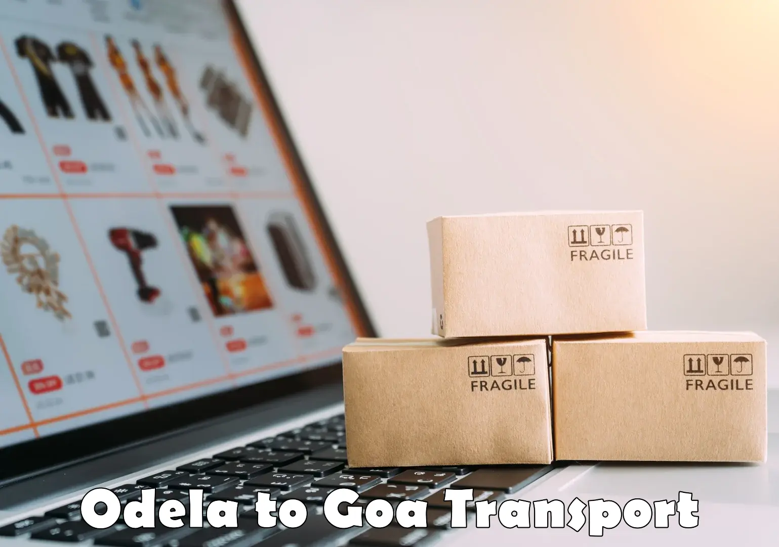 Parcel transport services Odela to NIT Goa