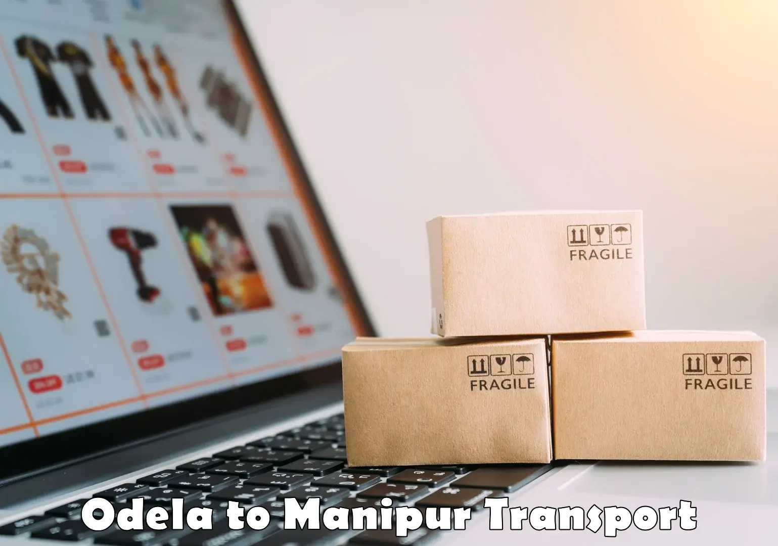 Logistics transportation services Odela to NIT Manipur