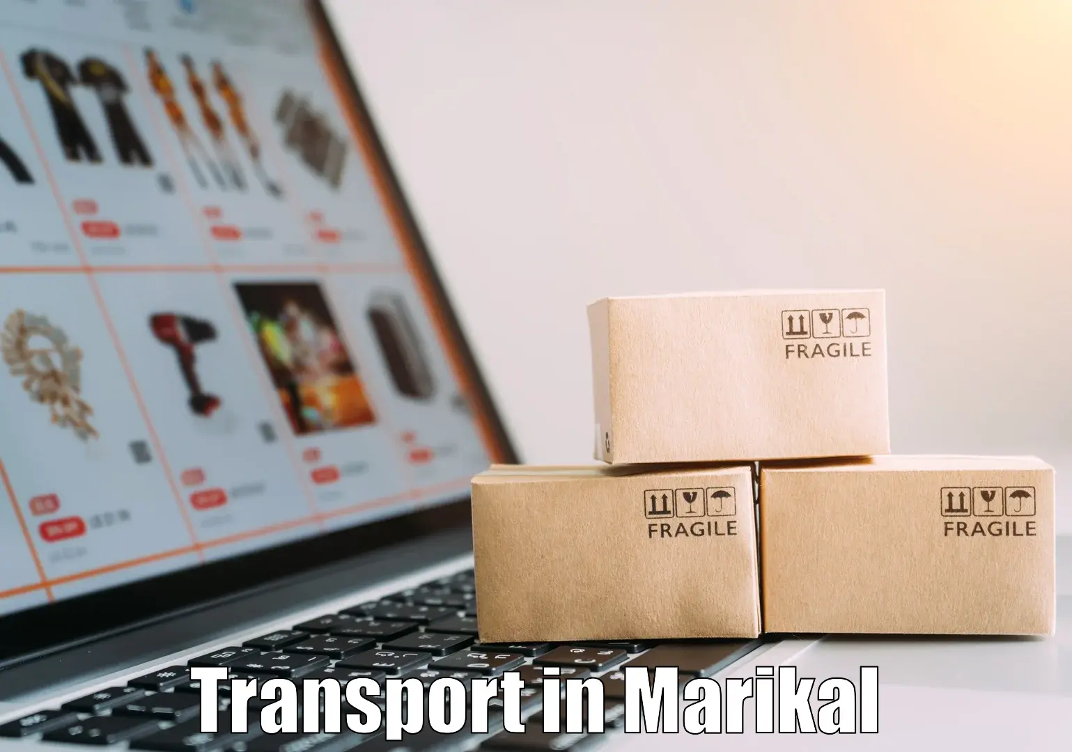 Air freight transport services in Marikal