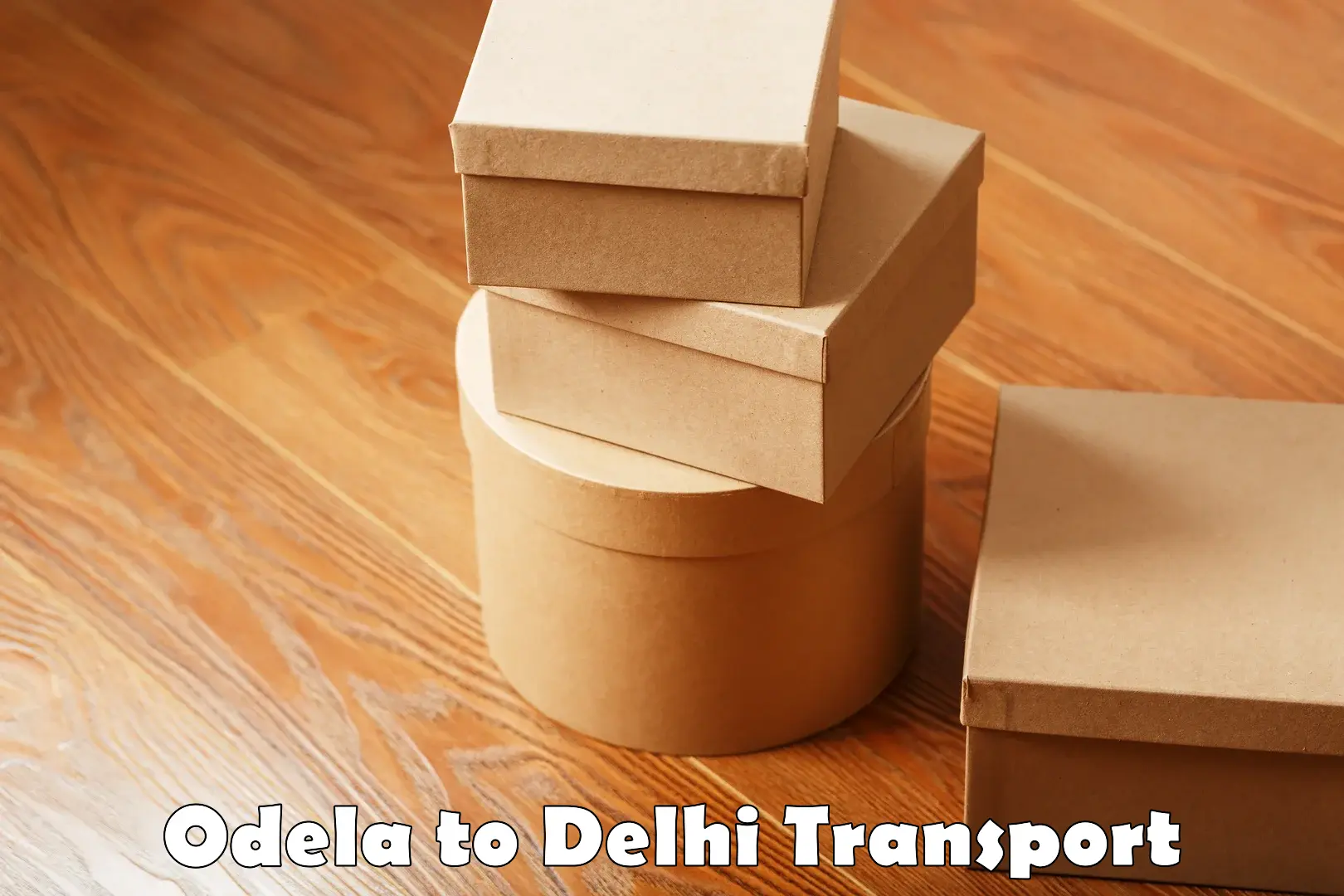 Domestic goods transportation services Odela to Krishna Nagar