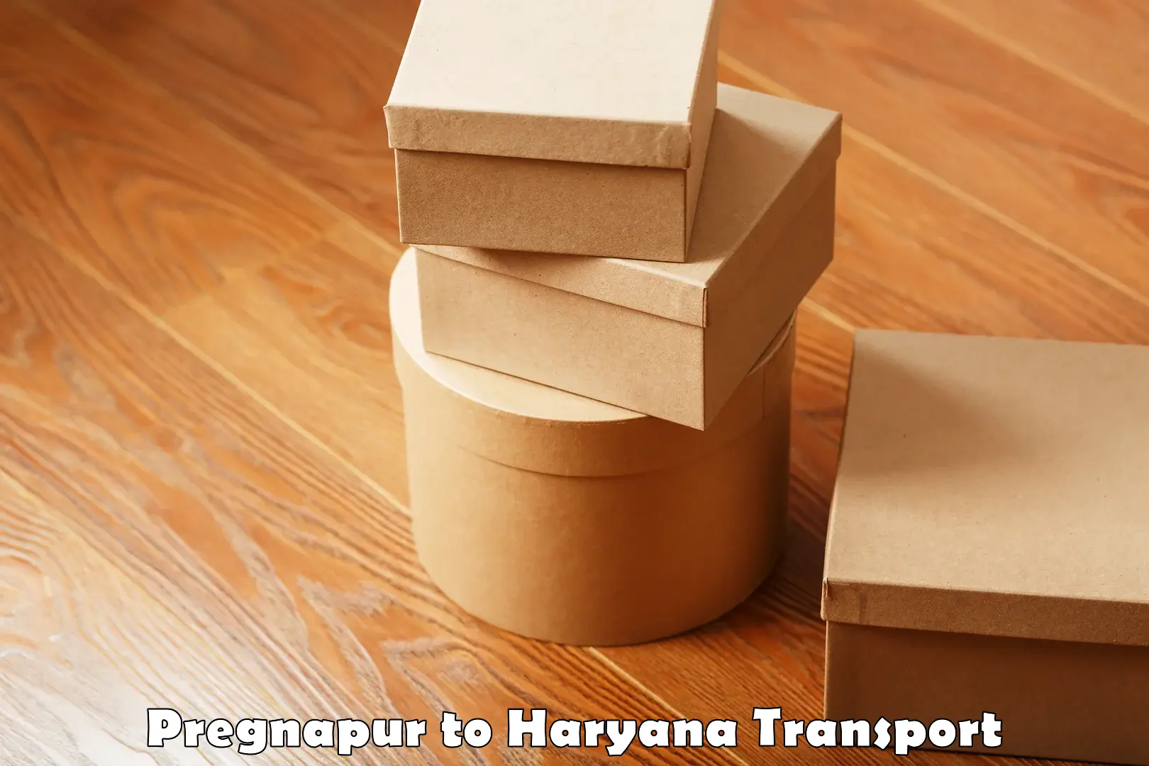 Commercial transport service Pregnapur to Haryana