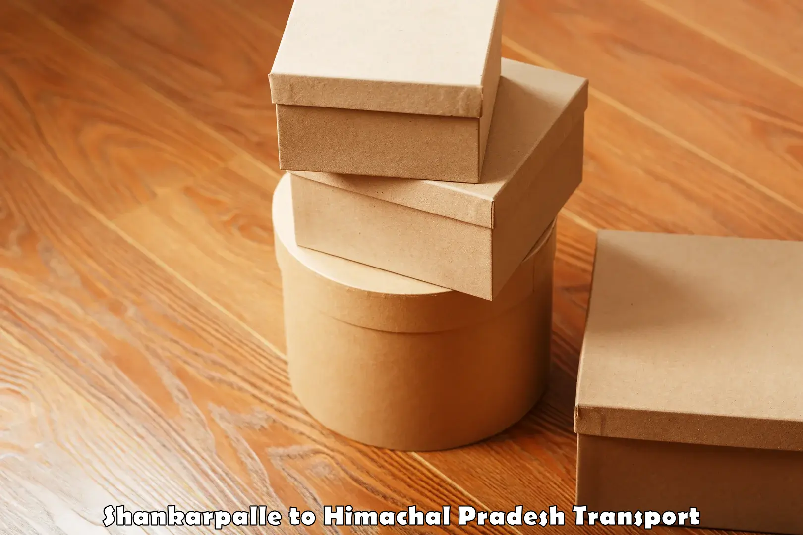 Logistics transportation services in Shankarpalle to Himachal Pradesh