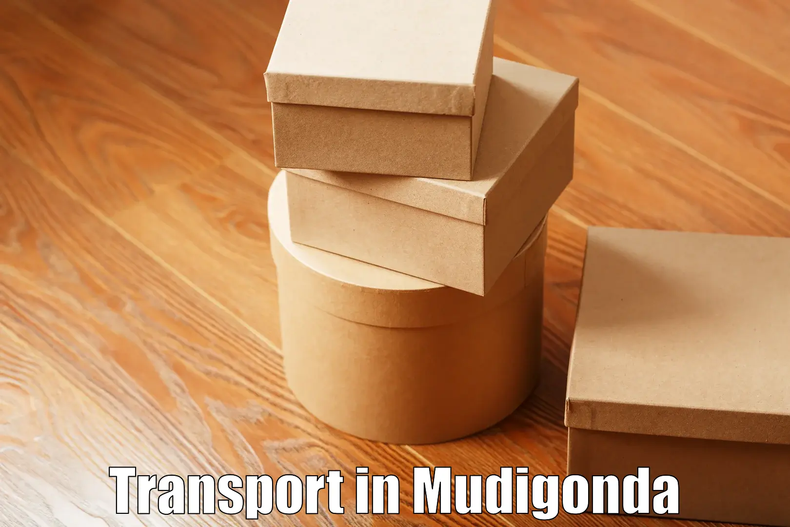 Two wheeler parcel service in Mudigonda