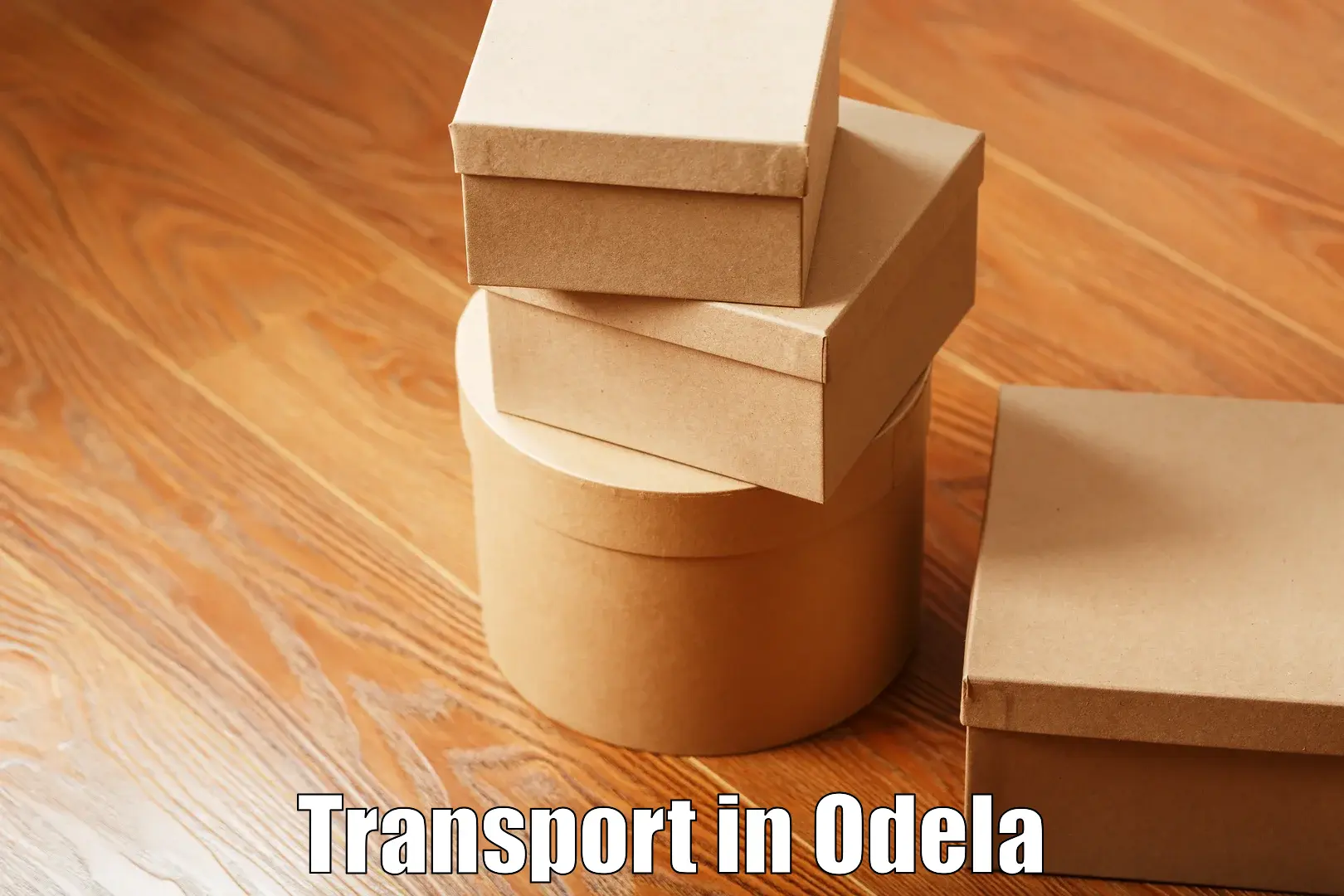 Online transport booking in Odela