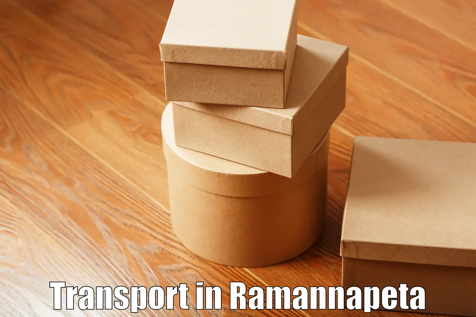 Vehicle courier services in Ramannapeta